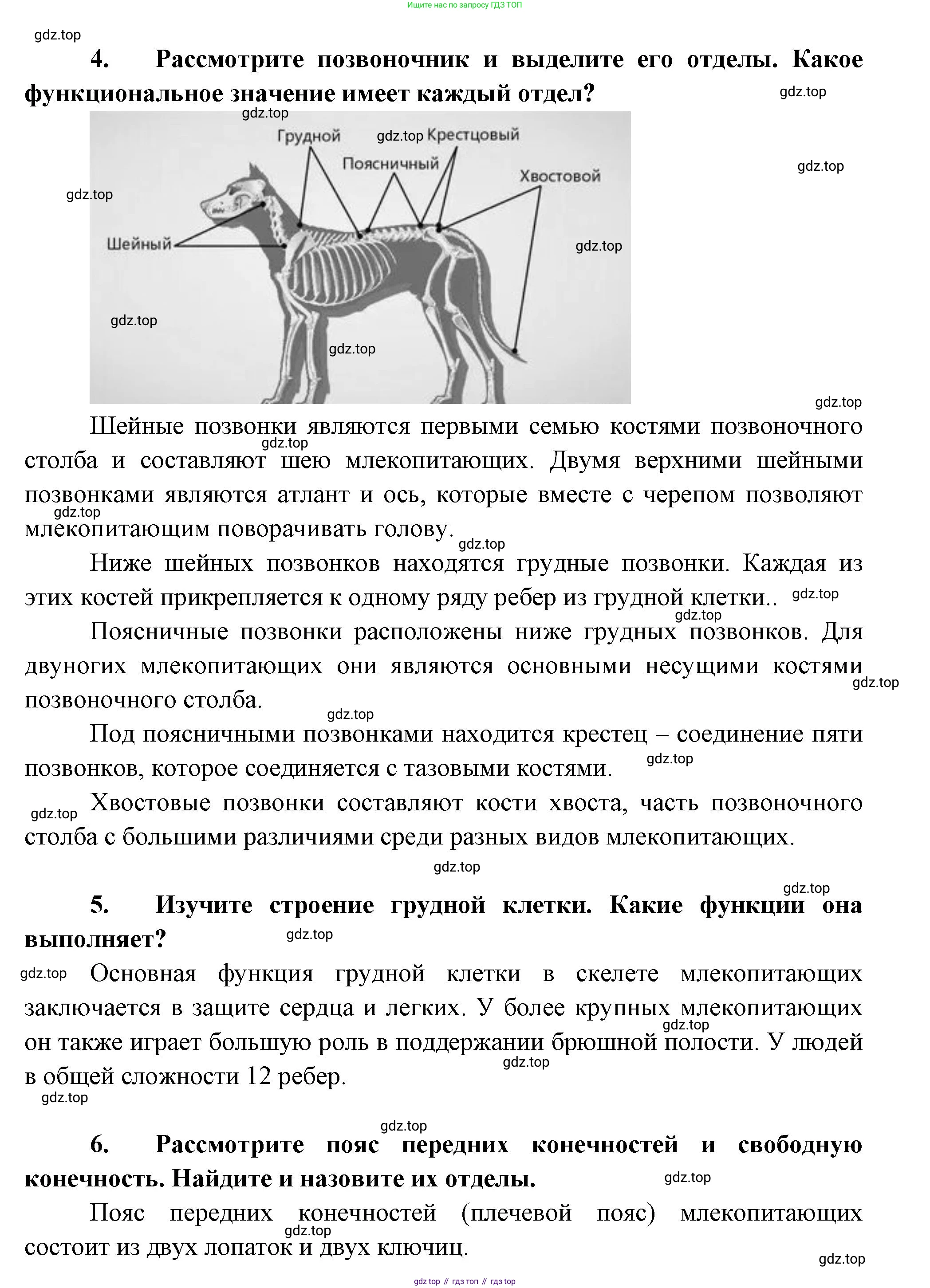 Биология, 8 класс Учебник, авторы: Пасечник Владимир Васильевич, Суматохин Сергей Витальевич, Гапонюк Зоя Георгиевна, издательство Просвещение, Москва, 2023, белого цвета, страница 201, Решение (продолжение 3)