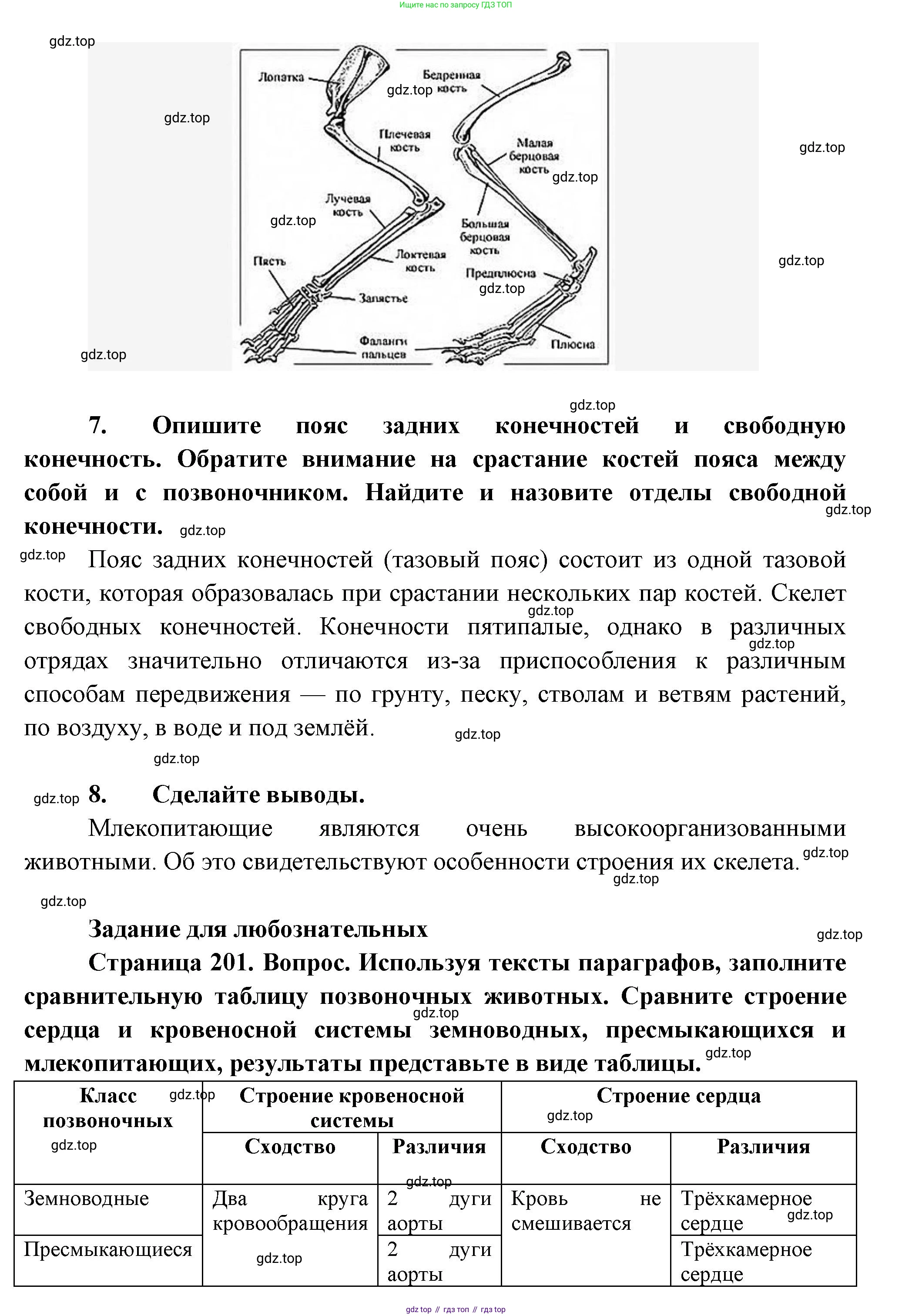 Биология, 8 класс Учебник, авторы: Пасечник Владимир Васильевич, Суматохин Сергей Витальевич, Гапонюк Зоя Георгиевна, издательство Просвещение, Москва, 2023, белого цвета, страница 201, Решение (продолжение 4)