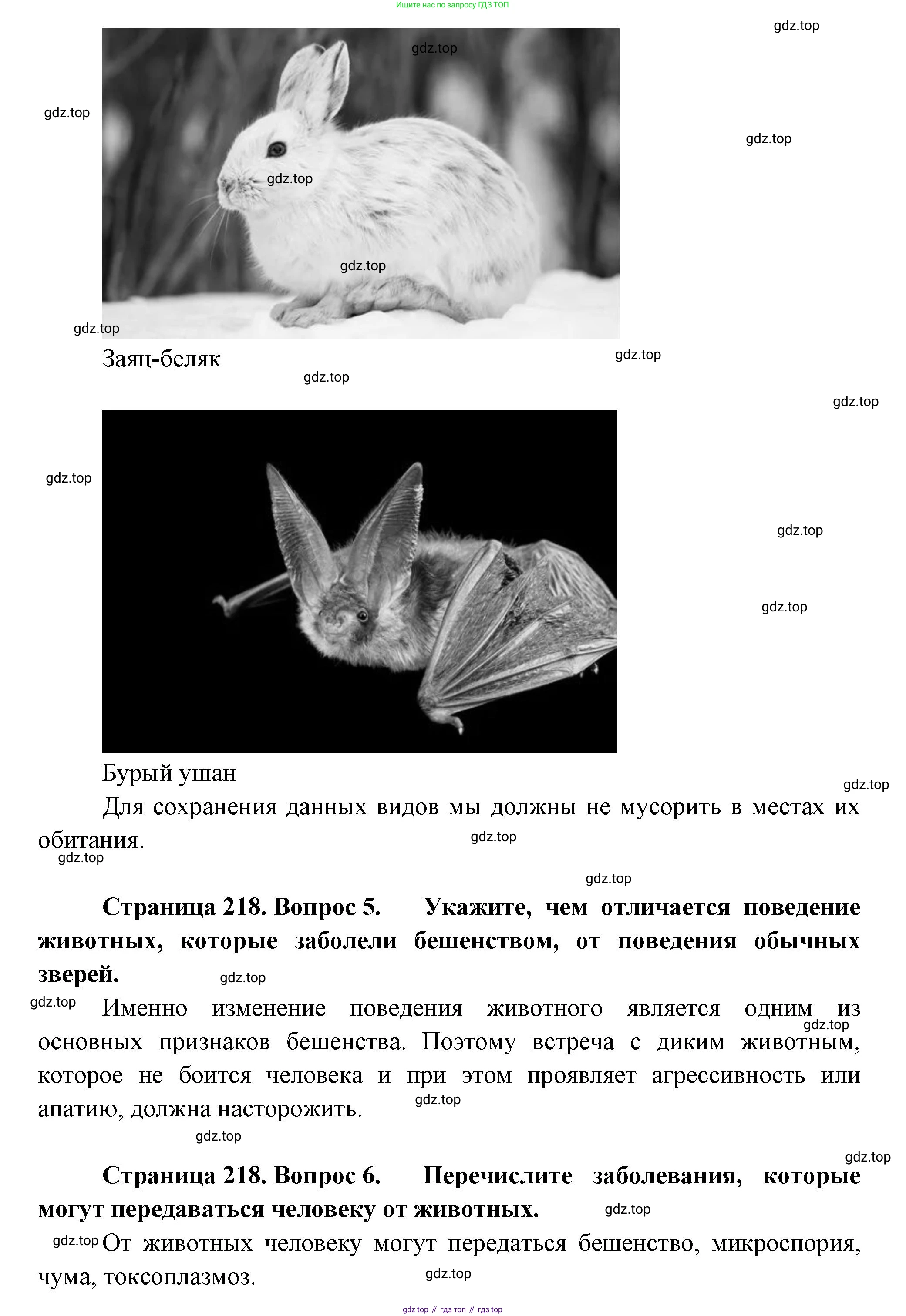 Биология, 8 класс Учебник, авторы: Пасечник Владимир Васильевич, Суматохин Сергей Витальевич, Гапонюк Зоя Георгиевна, издательство Просвещение, Москва, 2023, белого цвета, страница 218, Решение (продолжение 5)