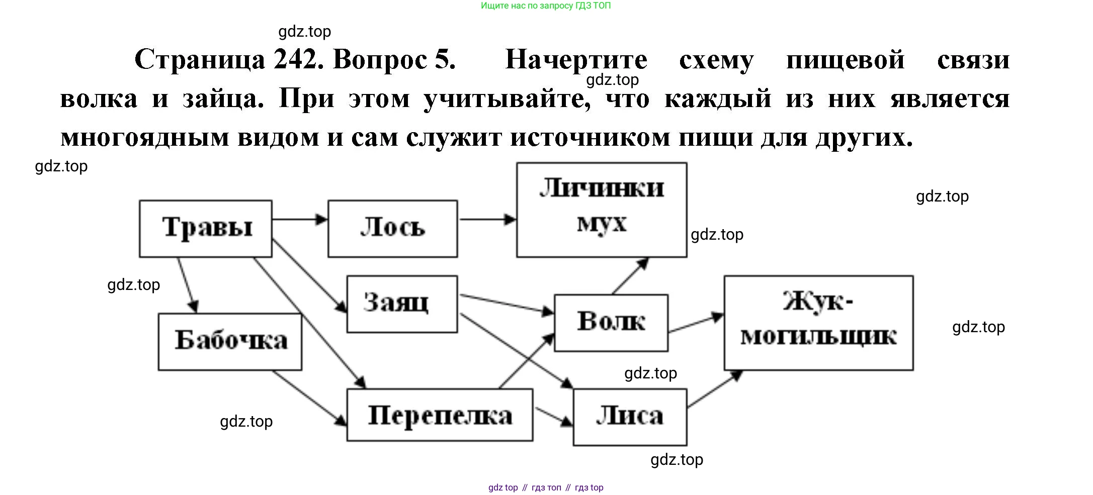 Биология, 8 класс Учебник, авторы: Пасечник Владимир Васильевич, Суматохин Сергей Витальевич, Гапонюк Зоя Георгиевна, издательство Просвещение, Москва, 2023, белого цвета, страница 242, номер 5, Решение