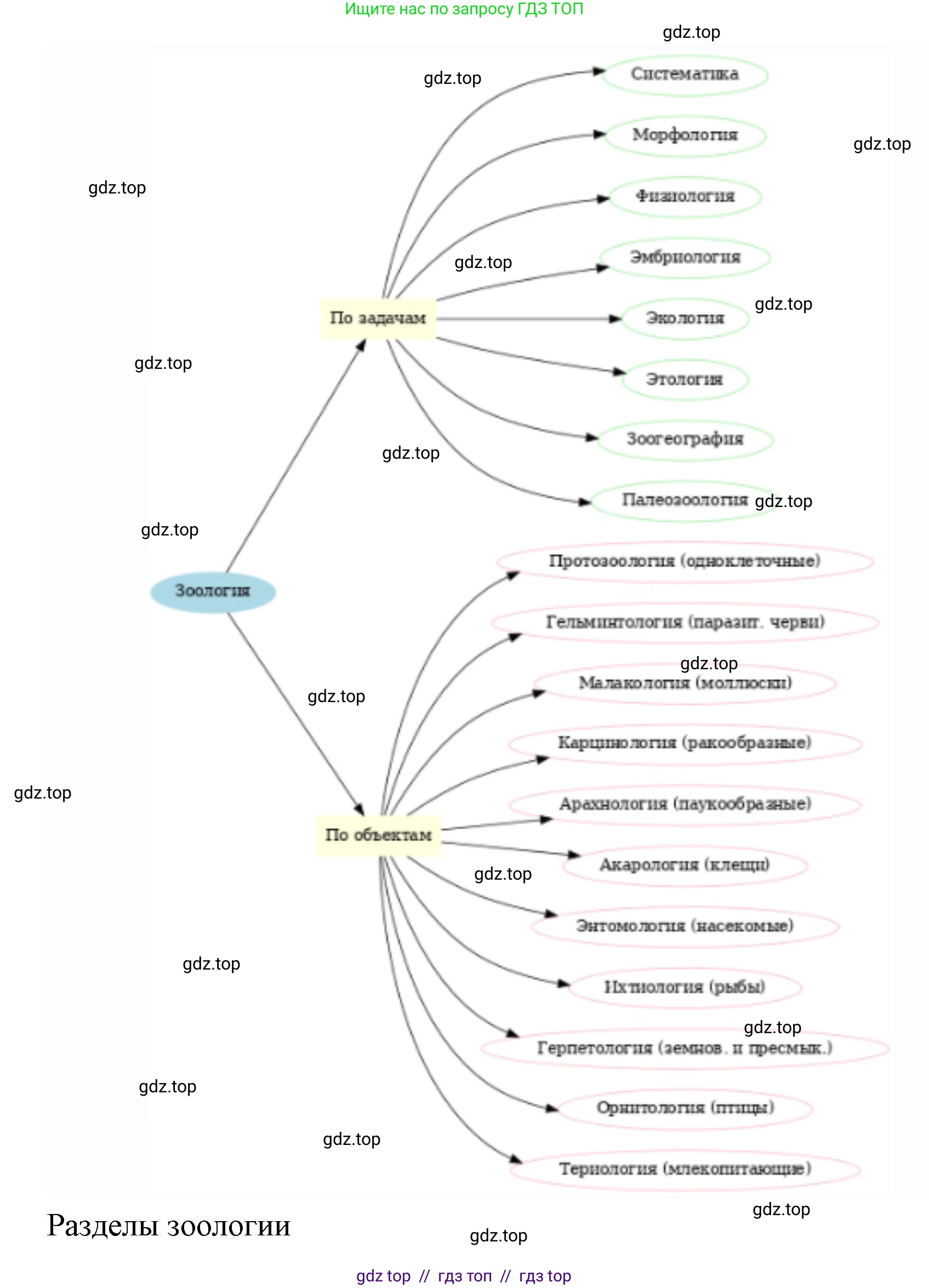 Биология, 8 класс Учебник, авторы: Пасечник Владимир Васильевич, Суматохин Сергей Витальевич, Гапонюк Зоя Георгиевна, издательство Просвещение, Москва, 2023, белого цвета, страница 9, номер 6, Решение 2 (продолжение 2)