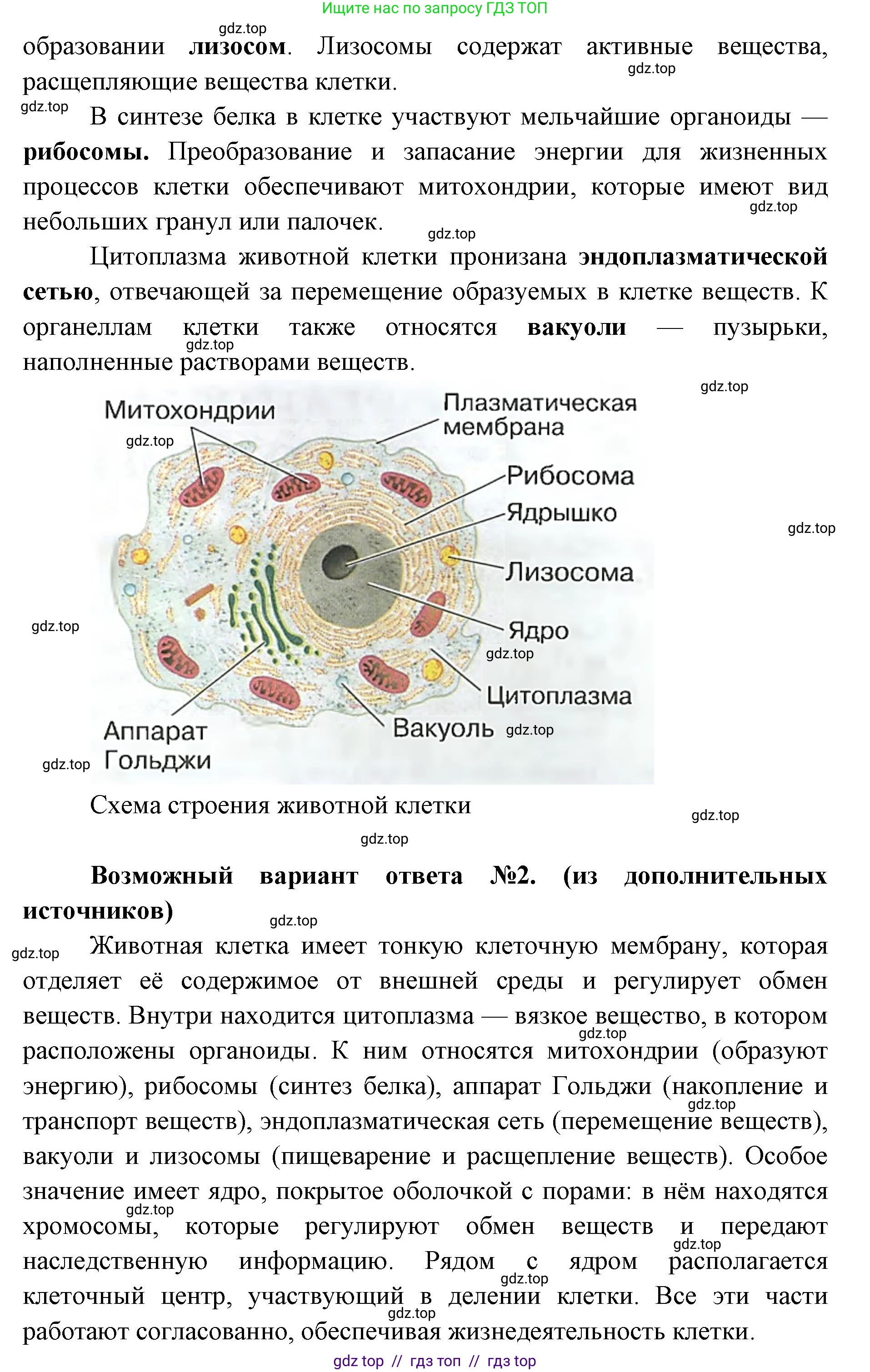 Биология, 8 класс Учебник, авторы: Пасечник Владимир Васильевич, Суматохин Сергей Витальевич, Гапонюк Зоя Георгиевна, издательство Просвещение, Москва, 2023, белого цвета, страница 15, номер 2, Решение 2 (продолжение 2)