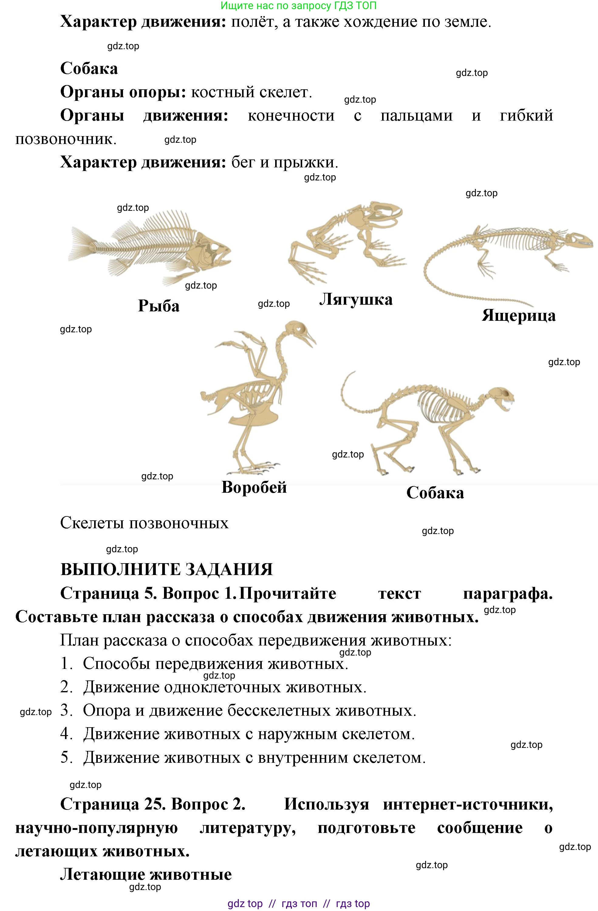 Биология, 8 класс Учебник, авторы: Пасечник Владимир Васильевич, Суматохин Сергей Витальевич, Гапонюк Зоя Георгиевна, издательство Просвещение, Москва, 2023, белого цвета, страница 25, Решение 2 (продолжение 2)