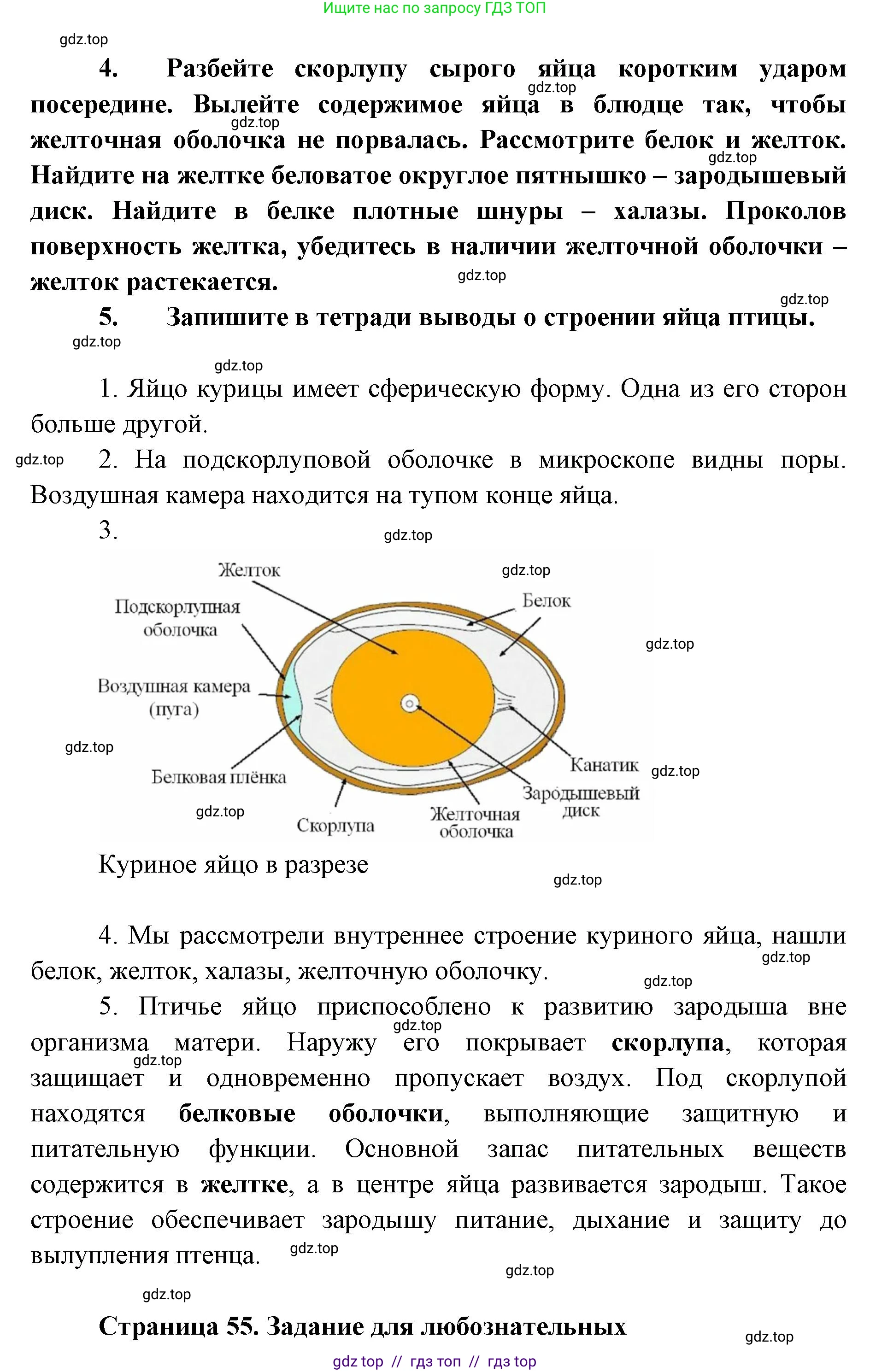 Биология, 8 класс Учебник, авторы: Пасечник Владимир Васильевич, Суматохин Сергей Витальевич, Гапонюк Зоя Георгиевна, издательство Просвещение, Москва, 2023, белого цвета, страница 54, Решение 2 (продолжение 2)