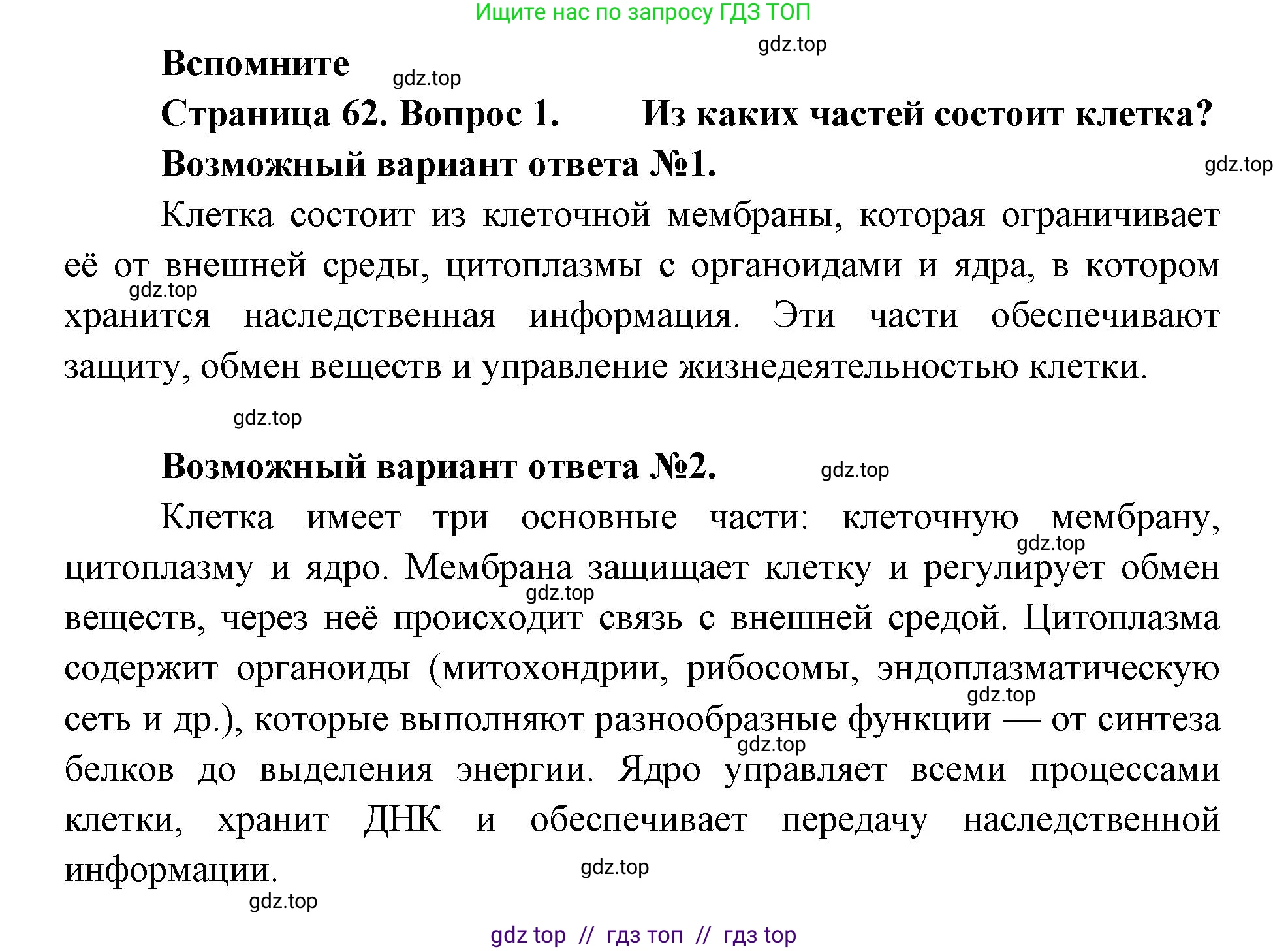 Биология, 8 класс Учебник, авторы: Пасечник Владимир Васильевич, Суматохин Сергей Витальевич, Гапонюк Зоя Георгиевна, издательство Просвещение, Москва, 2023, белого цвета, страница 62, номер 1, Решение 2
