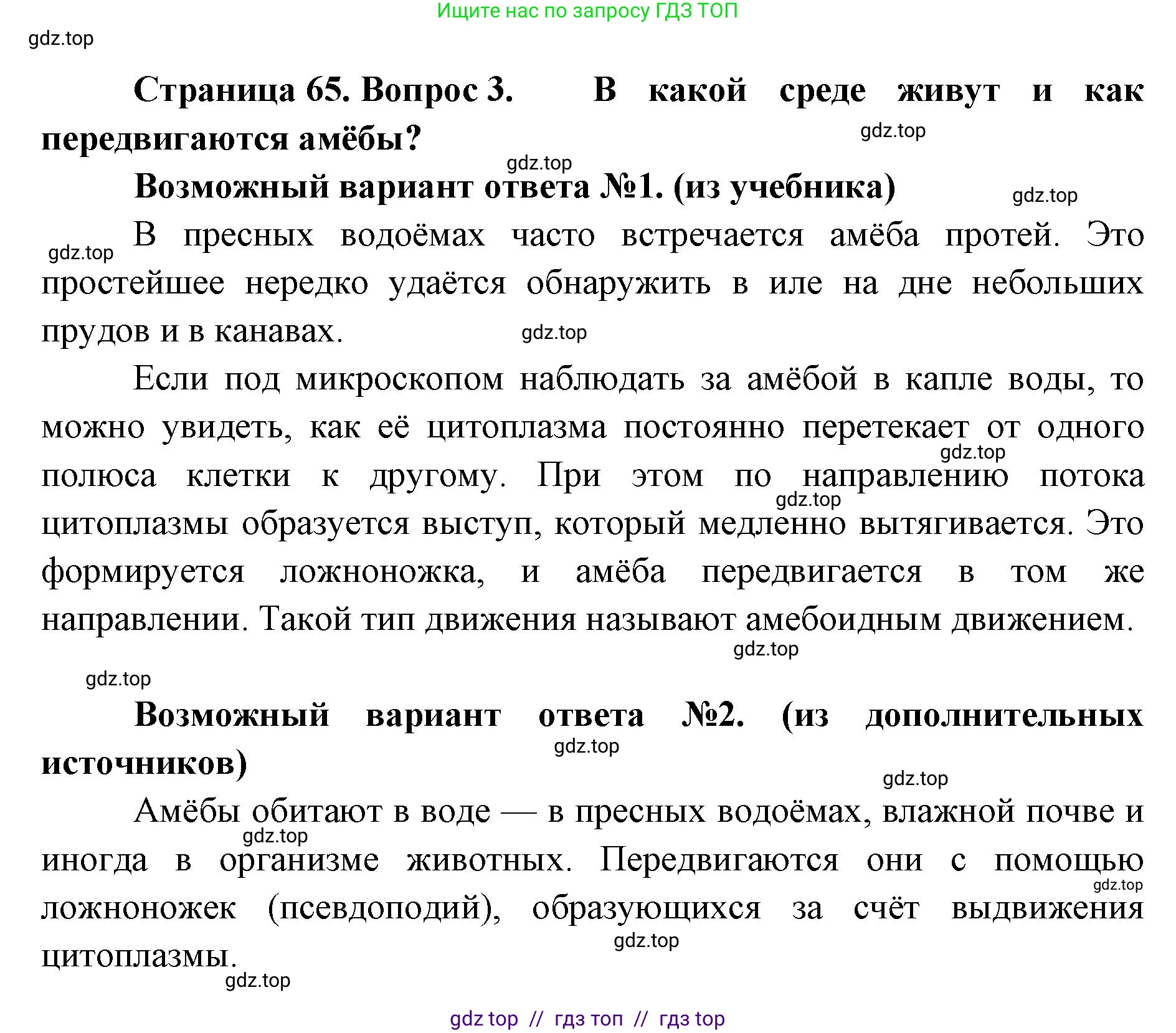 Биология, 8 класс Учебник, авторы: Пасечник Владимир Васильевич, Суматохин Сергей Витальевич, Гапонюк Зоя Георгиевна, издательство Просвещение, Москва, 2023, белого цвета, страница 65, номер 3, Решение 2