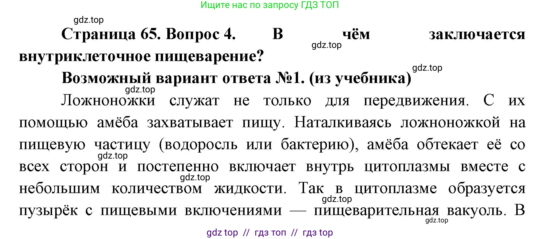 Биология, 8 класс Учебник, авторы: Пасечник Владимир Васильевич, Суматохин Сергей Витальевич, Гапонюк Зоя Георгиевна, издательство Просвещение, Москва, 2023, белого цвета, страница 65, номер 4, Решение 2
