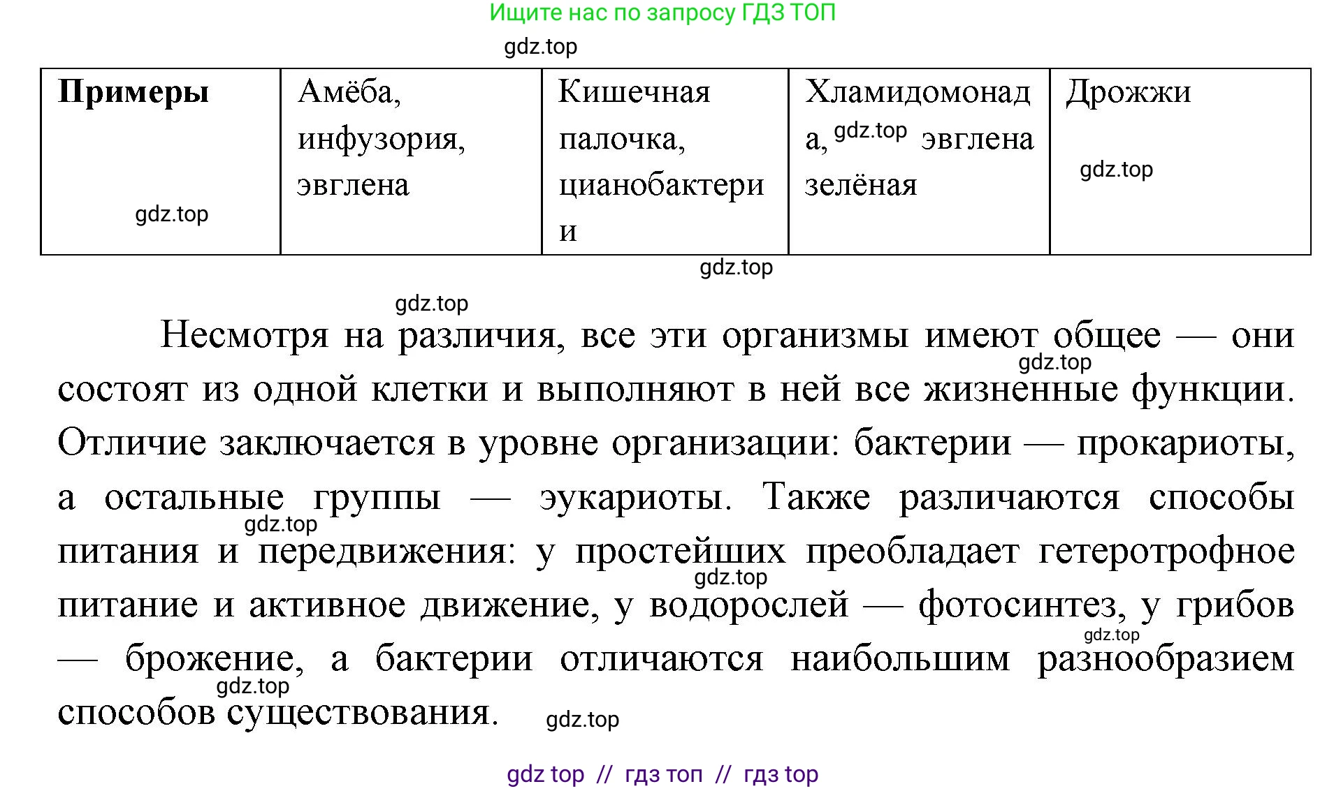 Биология, 8 класс Учебник, авторы: Пасечник Владимир Васильевич, Суматохин Сергей Витальевич, Гапонюк Зоя Георгиевна, издательство Просвещение, Москва, 2023, белого цвета, страница 65, номер 5, Решение 2 (продолжение 2)