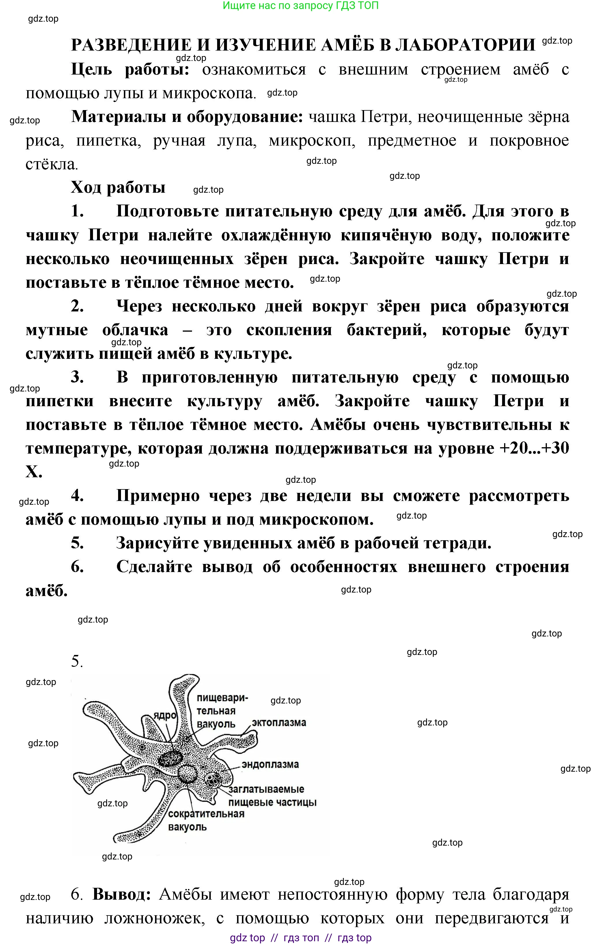 Биология, 8 класс Учебник, авторы: Пасечник Владимир Васильевич, Суматохин Сергей Витальевич, Гапонюк Зоя Георгиевна, издательство Просвещение, Москва, 2023, белого цвета, страница 65, Решение 2