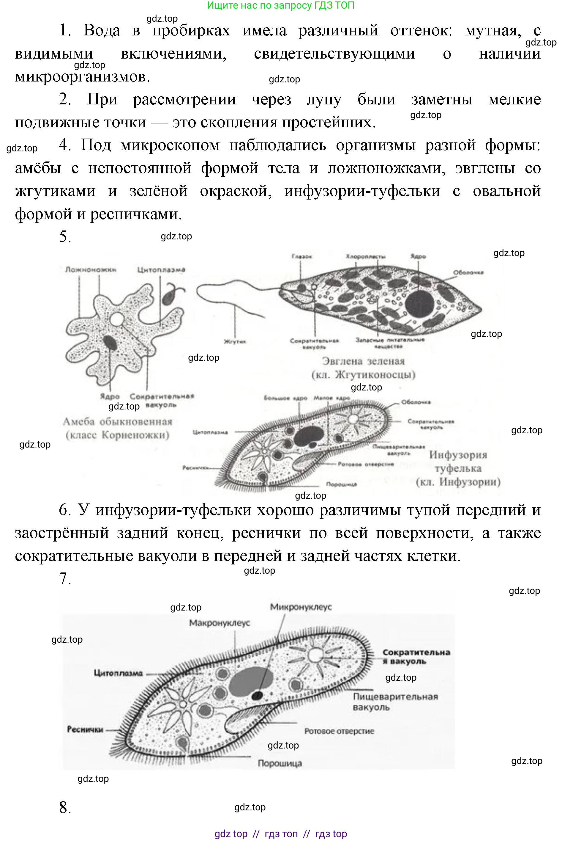 Биология, 8 класс Учебник, авторы: Пасечник Владимир Васильевич, Суматохин Сергей Витальевич, Гапонюк Зоя Георгиевна, издательство Просвещение, Москва, 2023, белого цвета, страница 69, Решение 2 (продолжение 2)