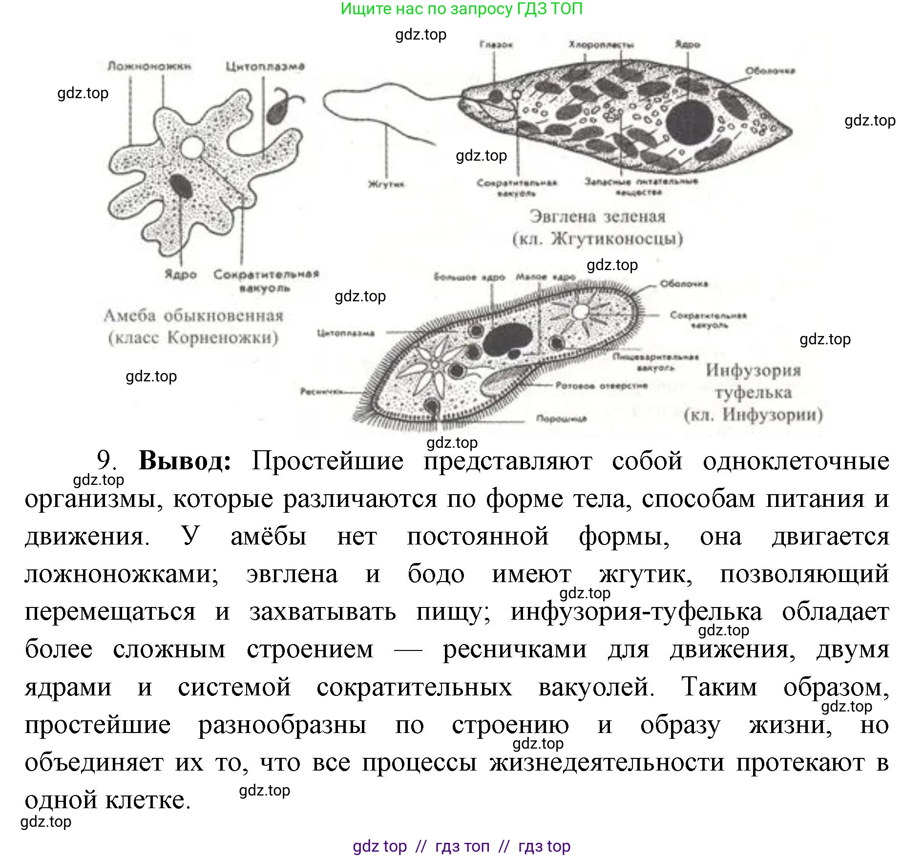 Биология, 8 класс Учебник, авторы: Пасечник Владимир Васильевич, Суматохин Сергей Витальевич, Гапонюк Зоя Георгиевна, издательство Просвещение, Москва, 2023, белого цвета, страница 69, Решение 2 (продолжение 3)