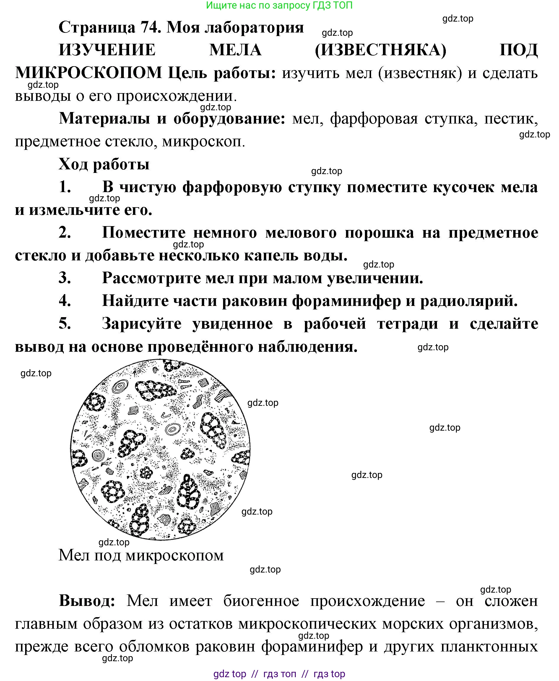Биология, 8 класс Учебник, авторы: Пасечник Владимир Васильевич, Суматохин Сергей Витальевич, Гапонюк Зоя Георгиевна, издательство Просвещение, Москва, 2023, белого цвета, страница 74, Решение 2