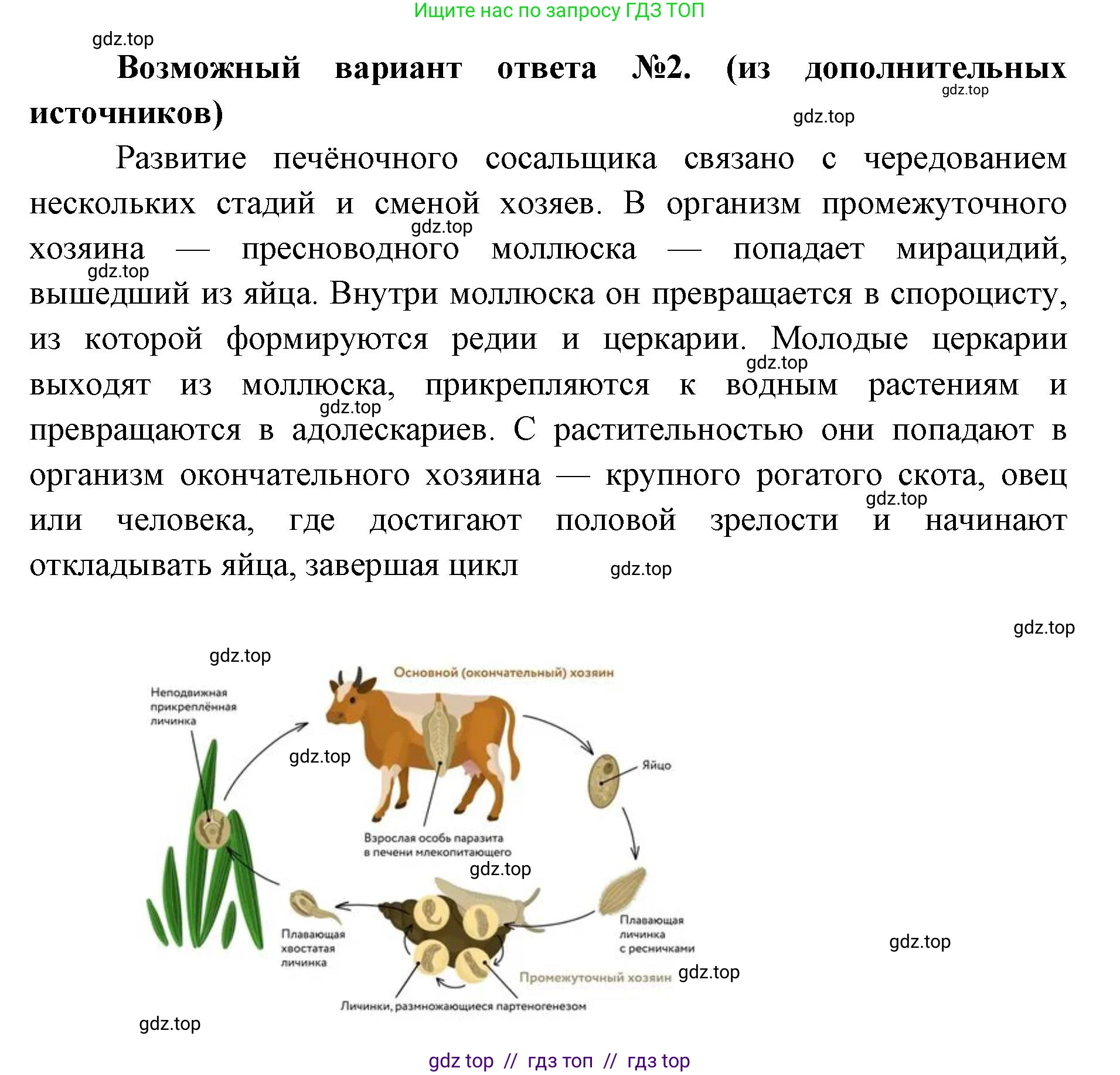 Биология, 8 класс Учебник, авторы: Пасечник Владимир Васильевич, Суматохин Сергей Витальевич, Гапонюк Зоя Георгиевна, издательство Просвещение, Москва, 2023, белого цвета, страница 89, номер 2, Решение 2 (продолжение 2)
