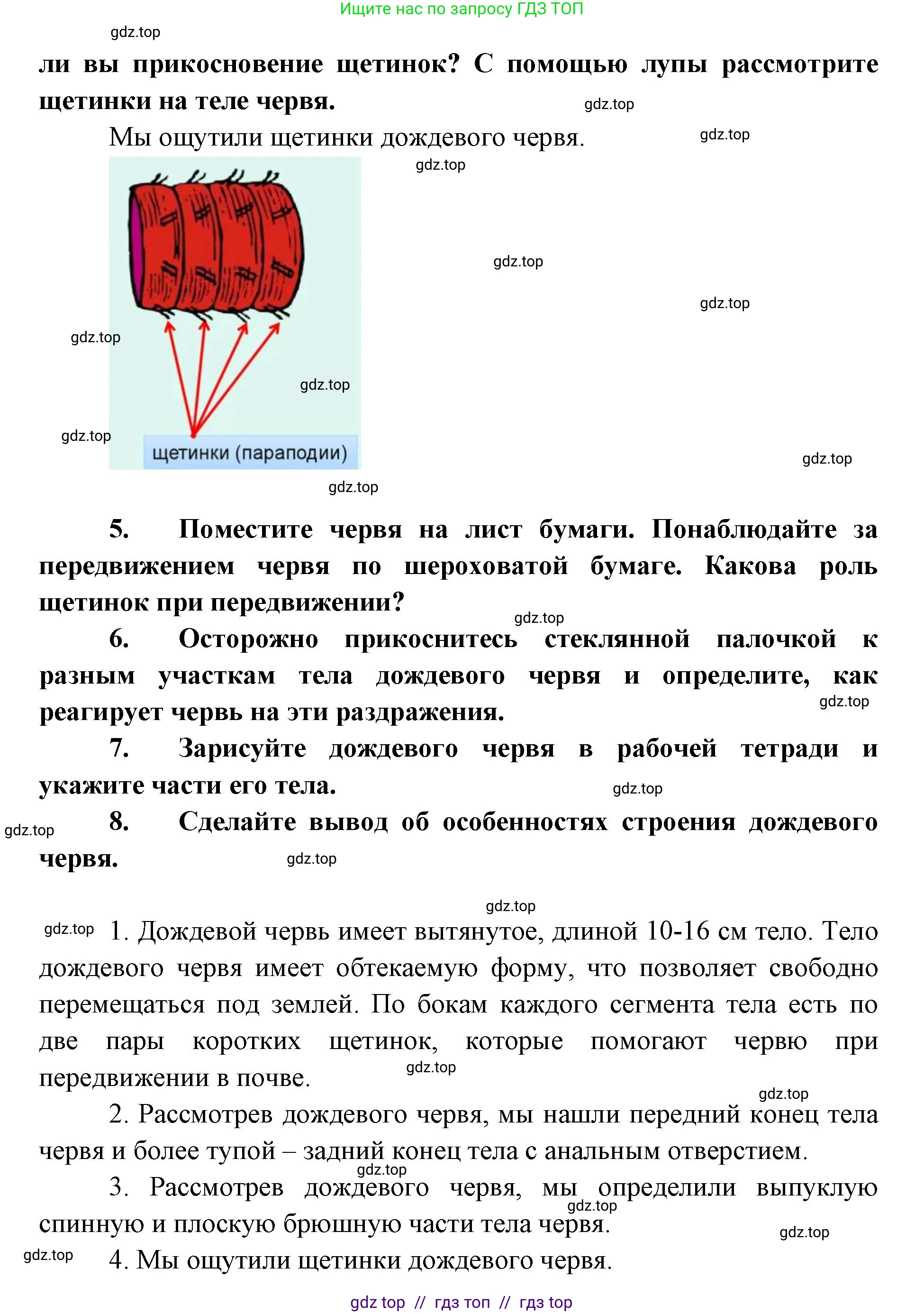 Биология, 8 класс Учебник, авторы: Пасечник Владимир Васильевич, Суматохин Сергей Витальевич, Гапонюк Зоя Георгиевна, издательство Просвещение, Москва, 2023, белого цвета, страница 98, Решение 2 (продолжение 2)