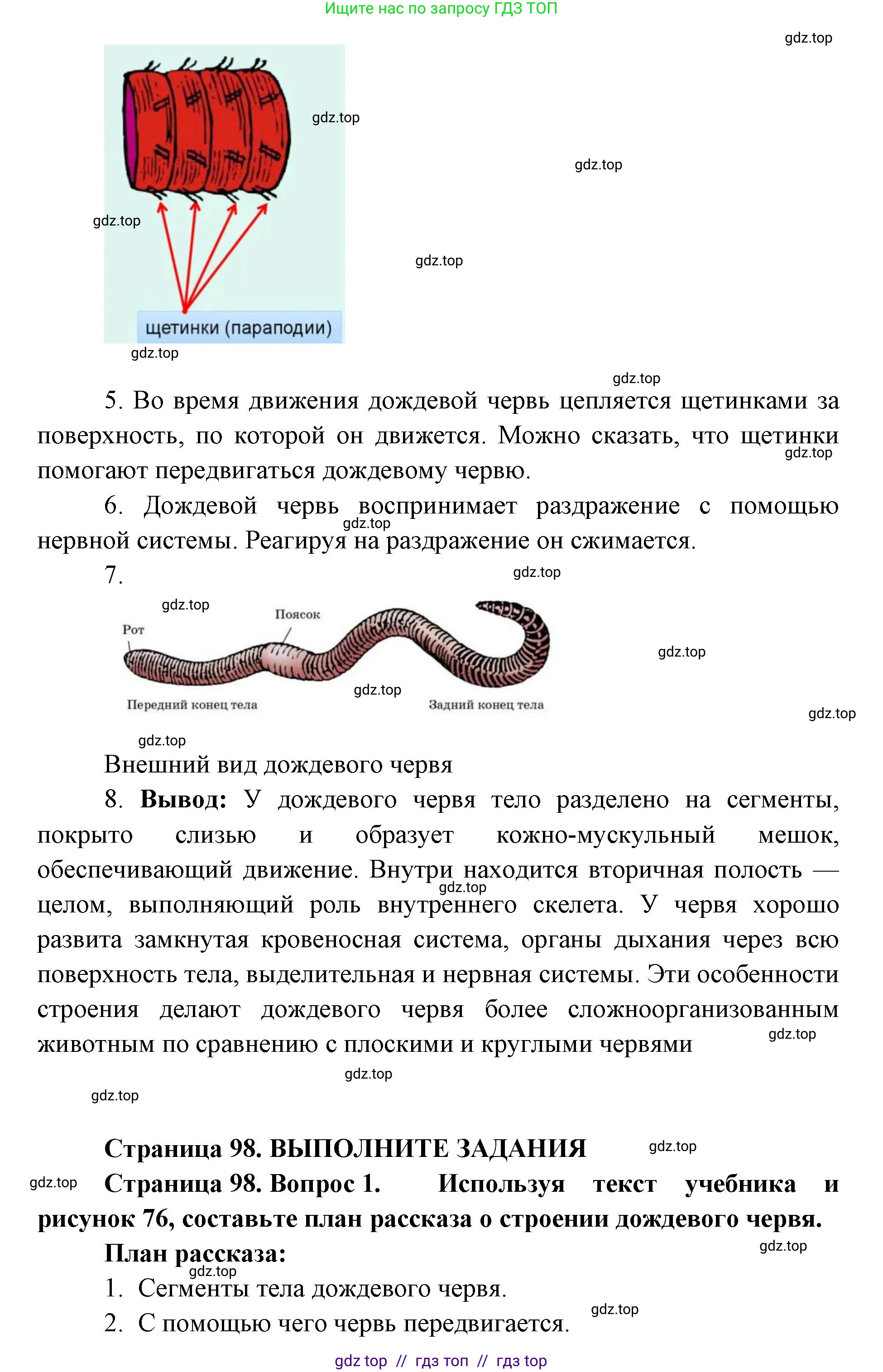 Биология, 8 класс Учебник, авторы: Пасечник Владимир Васильевич, Суматохин Сергей Витальевич, Гапонюк Зоя Георгиевна, издательство Просвещение, Москва, 2023, белого цвета, страница 98, Решение 2 (продолжение 3)
