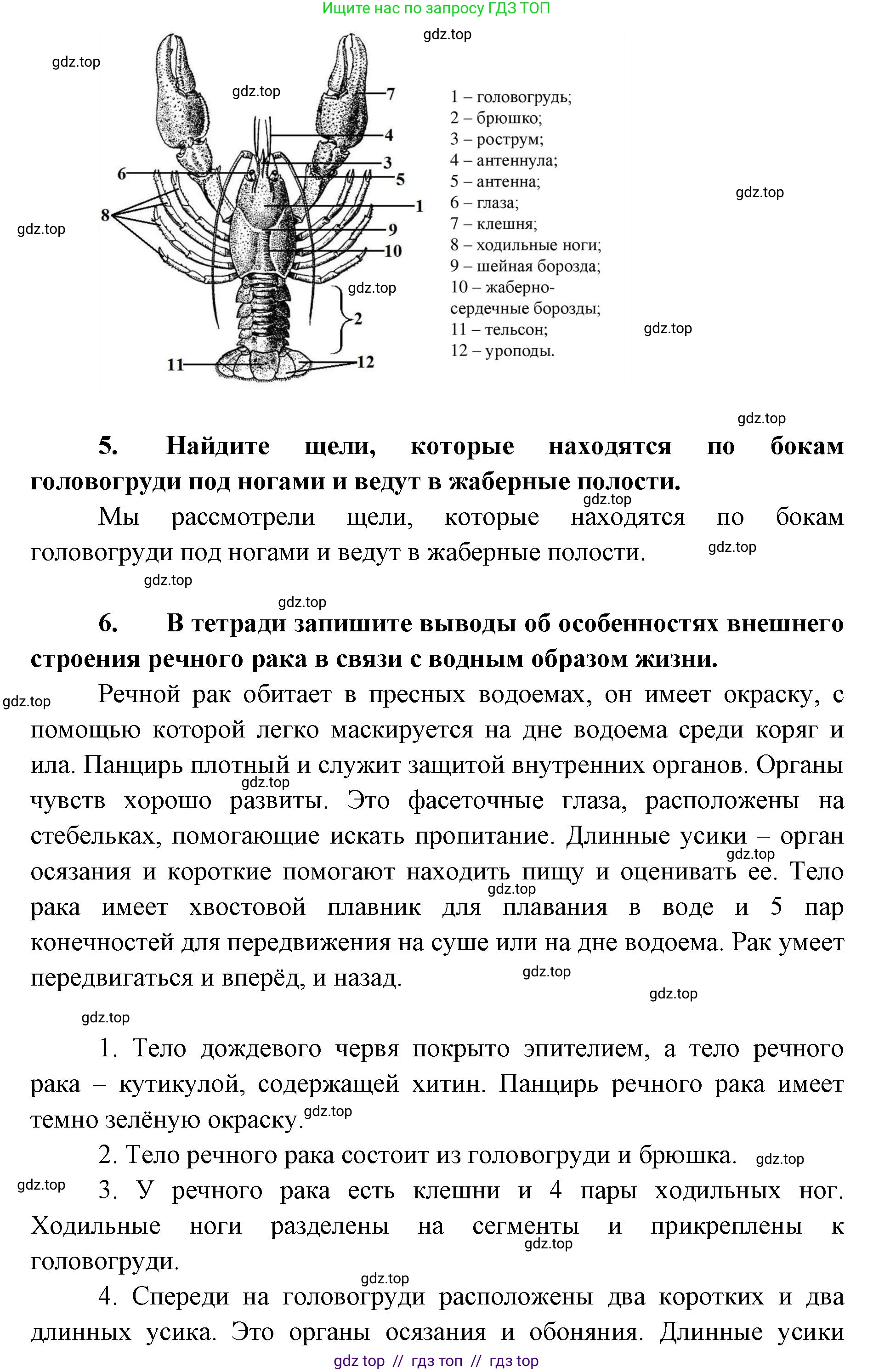 Биология, 8 класс Учебник, авторы: Пасечник Владимир Васильевич, Суматохин Сергей Витальевич, Гапонюк Зоя Георгиевна, издательство Просвещение, Москва, 2023, белого цвета, страница 107, Решение 2 (продолжение 3)