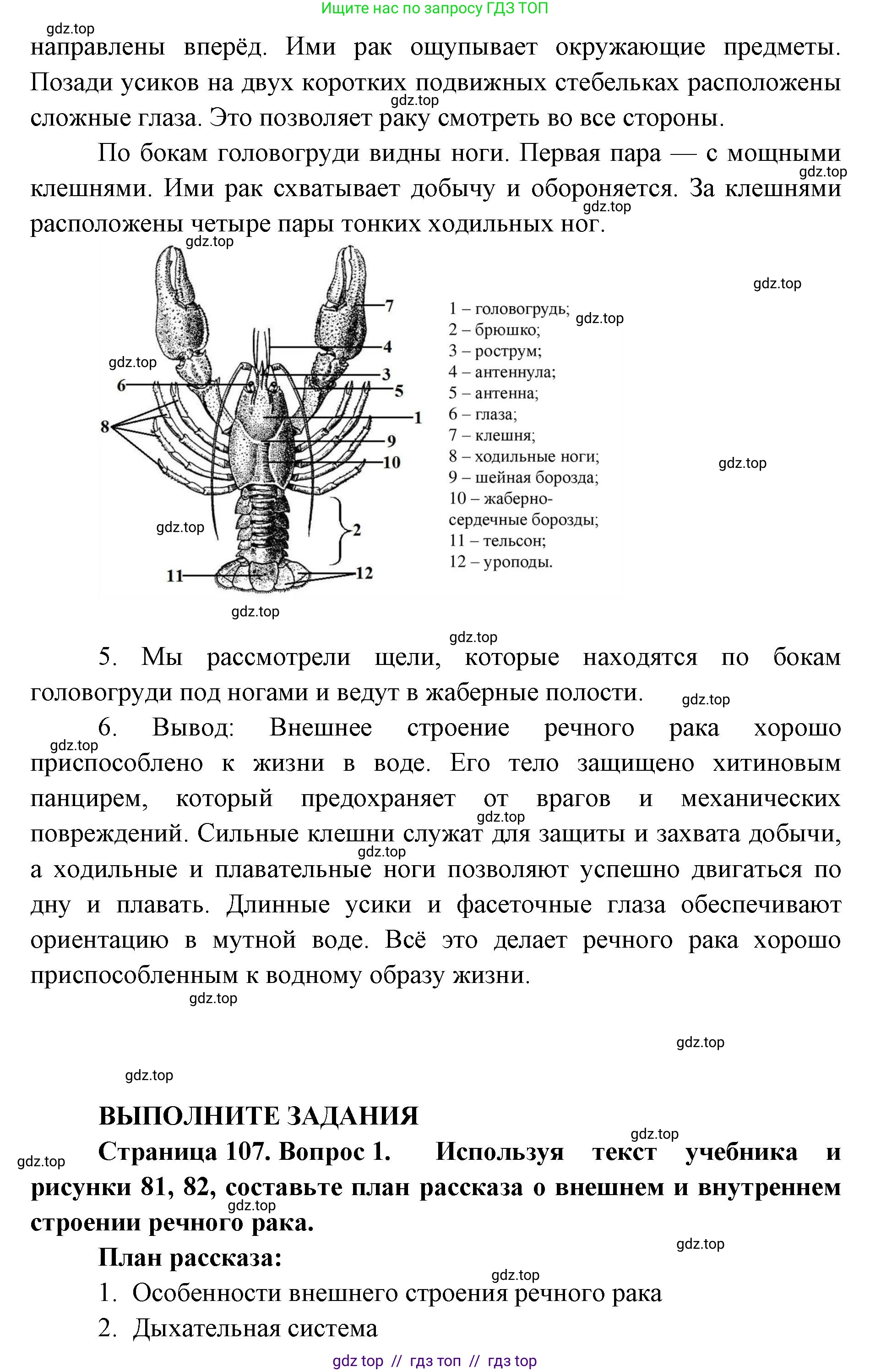 Биология, 8 класс Учебник, авторы: Пасечник Владимир Васильевич, Суматохин Сергей Витальевич, Гапонюк Зоя Георгиевна, издательство Просвещение, Москва, 2023, белого цвета, страница 107, Решение 2 (продолжение 4)