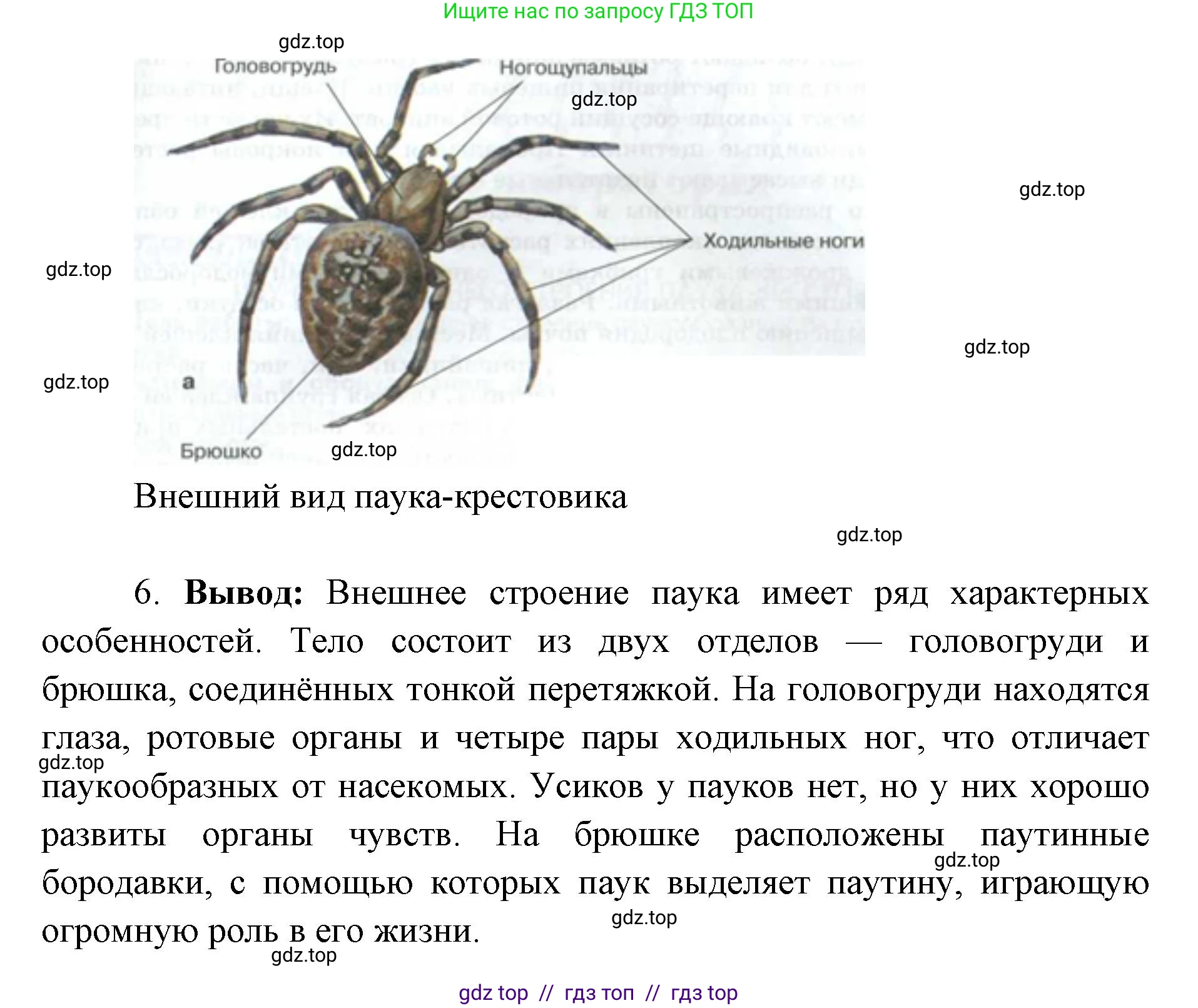 Биология, 8 класс Учебник, авторы: Пасечник Владимир Васильевич, Суматохин Сергей Витальевич, Гапонюк Зоя Георгиевна, издательство Просвещение, Москва, 2023, белого цвета, страница 111, Решение 2 (продолжение 3)