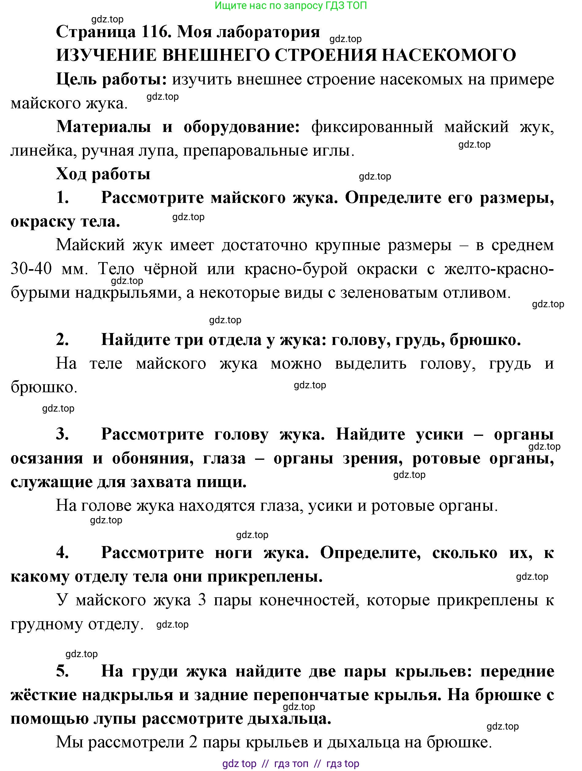 Биология, 8 класс Учебник, авторы: Пасечник Владимир Васильевич, Суматохин Сергей Витальевич, Гапонюк Зоя Георгиевна, издательство Просвещение, Москва, 2023, белого цвета, страница 116, Решение 2