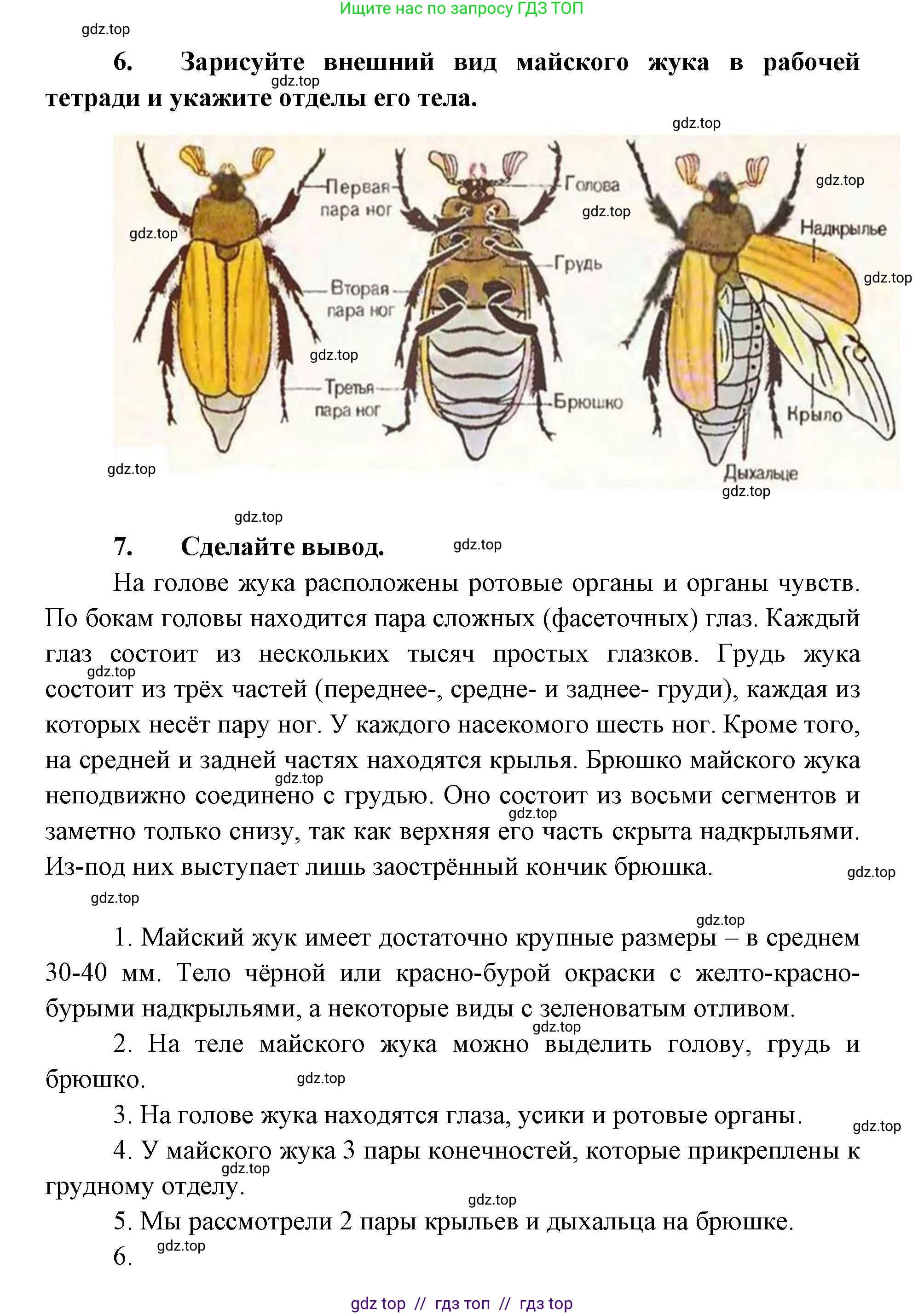 Биология, 8 класс Учебник, авторы: Пасечник Владимир Васильевич, Суматохин Сергей Витальевич, Гапонюк Зоя Георгиевна, издательство Просвещение, Москва, 2023, белого цвета, страница 116, Решение 2 (продолжение 2)