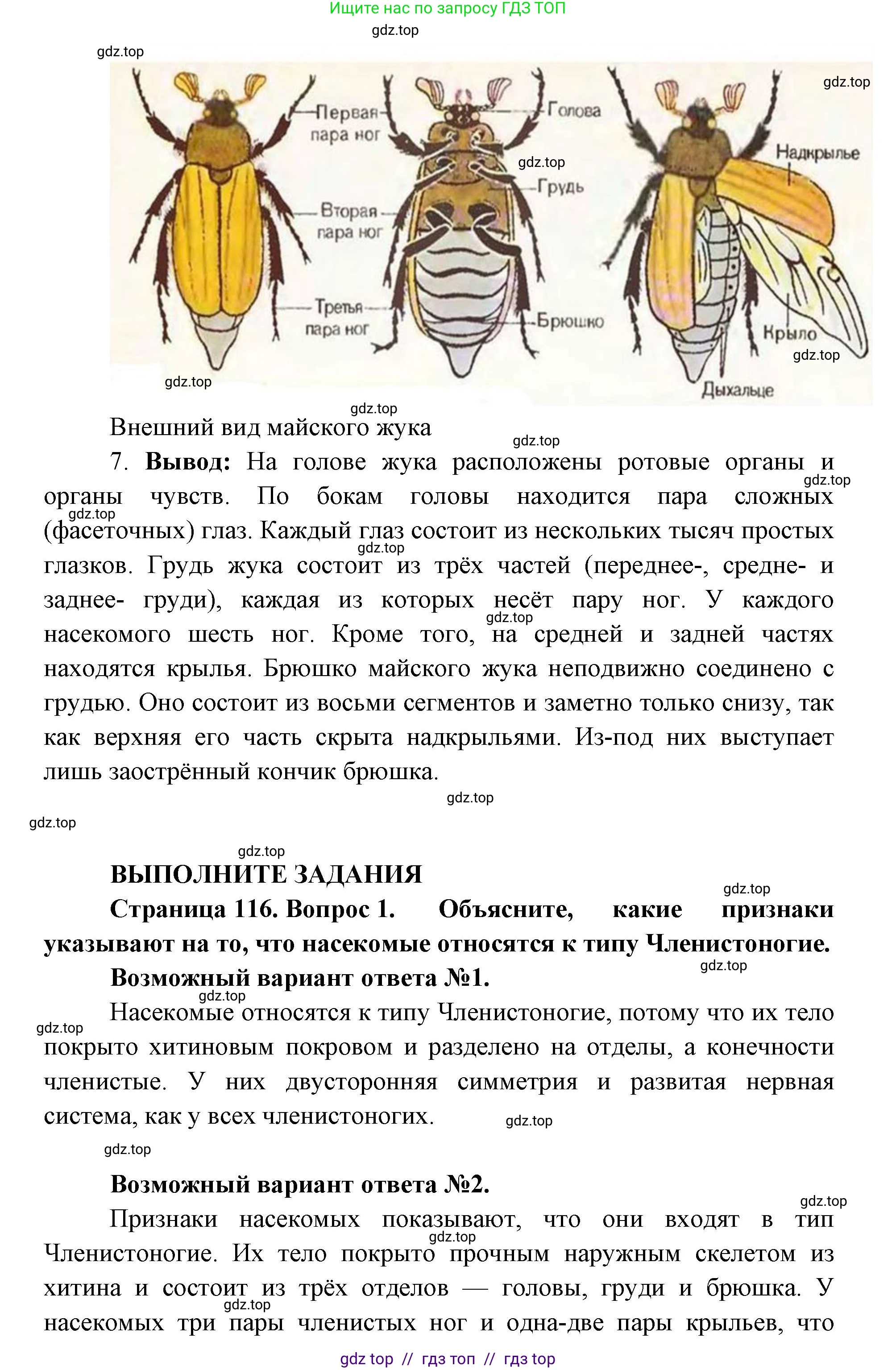 Биология, 8 класс Учебник, авторы: Пасечник Владимир Васильевич, Суматохин Сергей Витальевич, Гапонюк Зоя Георгиевна, издательство Просвещение, Москва, 2023, белого цвета, страница 116, Решение 2 (продолжение 3)