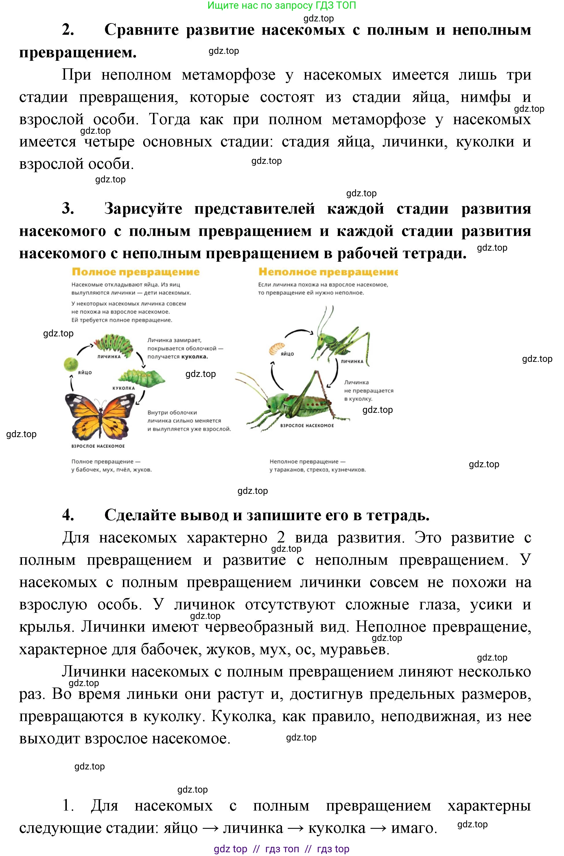 Биология, 8 класс Учебник, авторы: Пасечник Владимир Васильевич, Суматохин Сергей Витальевич, Гапонюк Зоя Георгиевна, издательство Просвещение, Москва, 2023, белого цвета, страница 121, Решение 2 (продолжение 2)