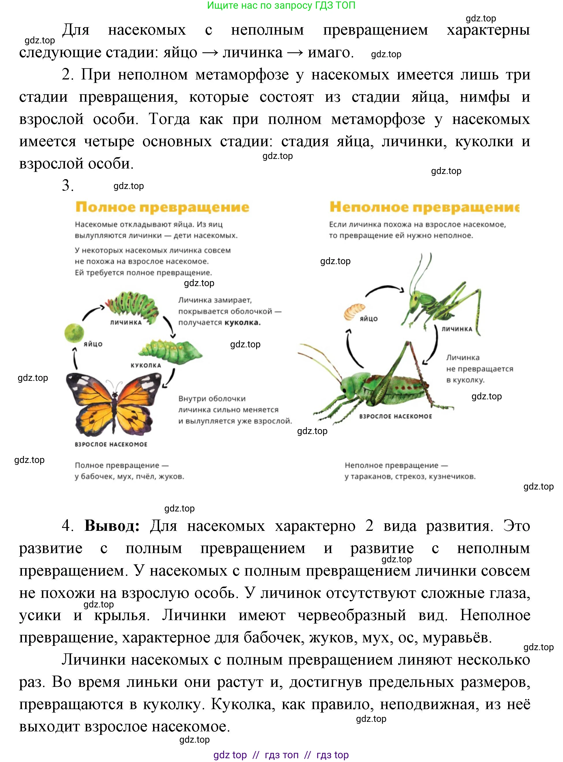 Биология, 8 класс Учебник, авторы: Пасечник Владимир Васильевич, Суматохин Сергей Витальевич, Гапонюк Зоя Георгиевна, издательство Просвещение, Москва, 2023, белого цвета, страница 121, Решение 2 (продолжение 3)