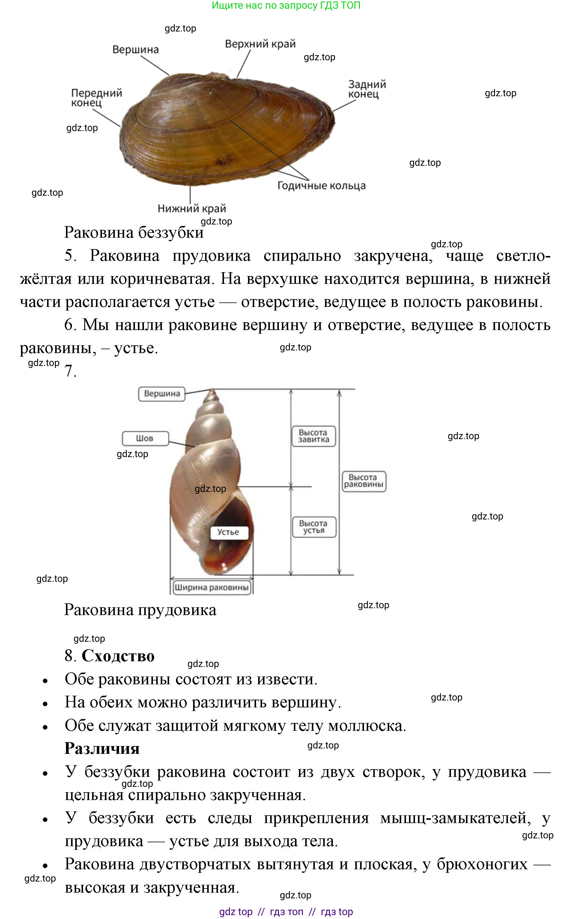 Биология, 8 класс Учебник, авторы: Пасечник Владимир Васильевич, Суматохин Сергей Витальевич, Гапонюк Зоя Георгиевна, издательство Просвещение, Москва, 2023, белого цвета, страница 131, Решение 2 (продолжение 3)