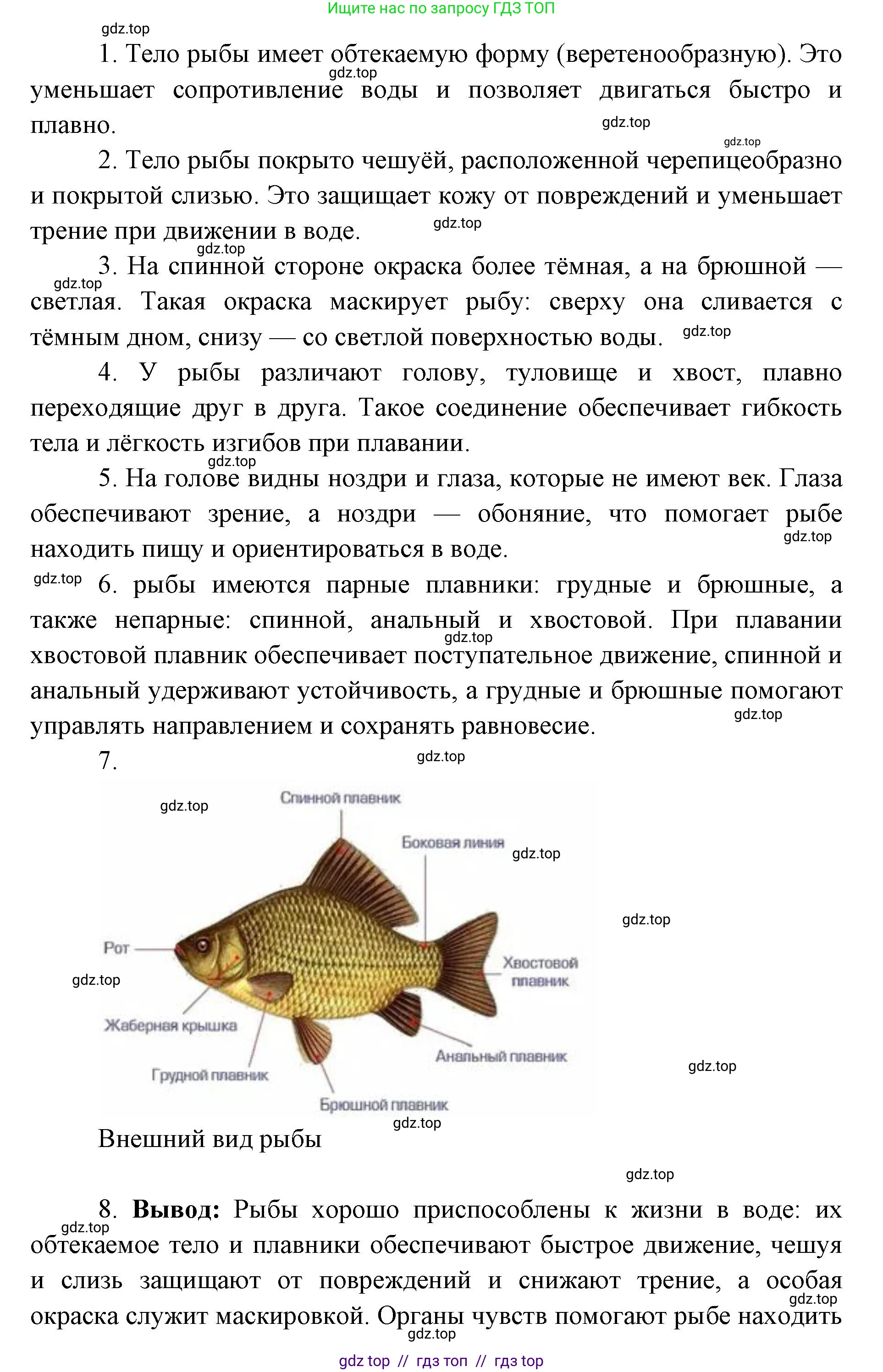 Биология, 8 класс Учебник, авторы: Пасечник Владимир Васильевич, Суматохин Сергей Витальевич, Гапонюк Зоя Георгиевна, издательство Просвещение, Москва, 2023, белого цвета, страница 147, Решение 2 (продолжение 2)