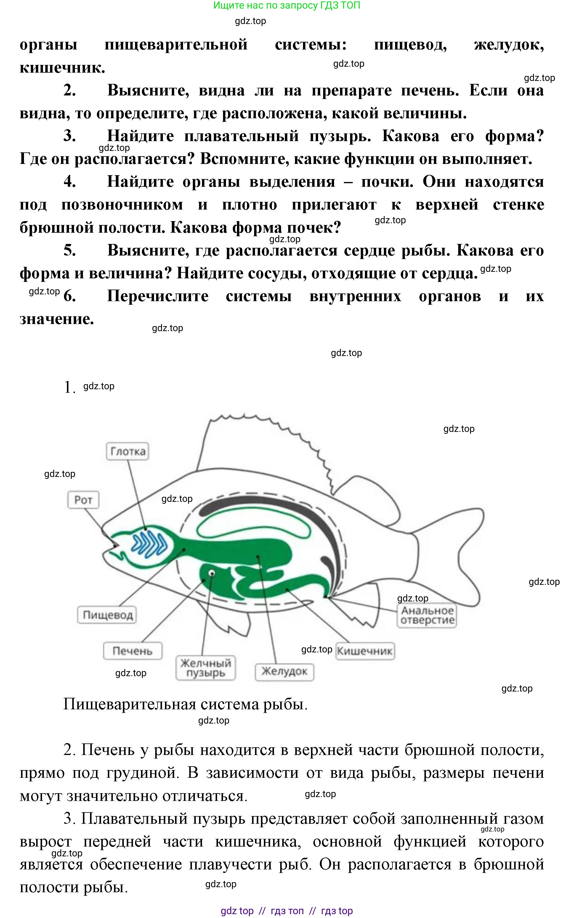 Биология, 8 класс Учебник, авторы: Пасечник Владимир Васильевич, Суматохин Сергей Витальевич, Гапонюк Зоя Георгиевна, издательство Просвещение, Москва, 2023, белого цвета, страница 151, Решение 2 (продолжение 2)