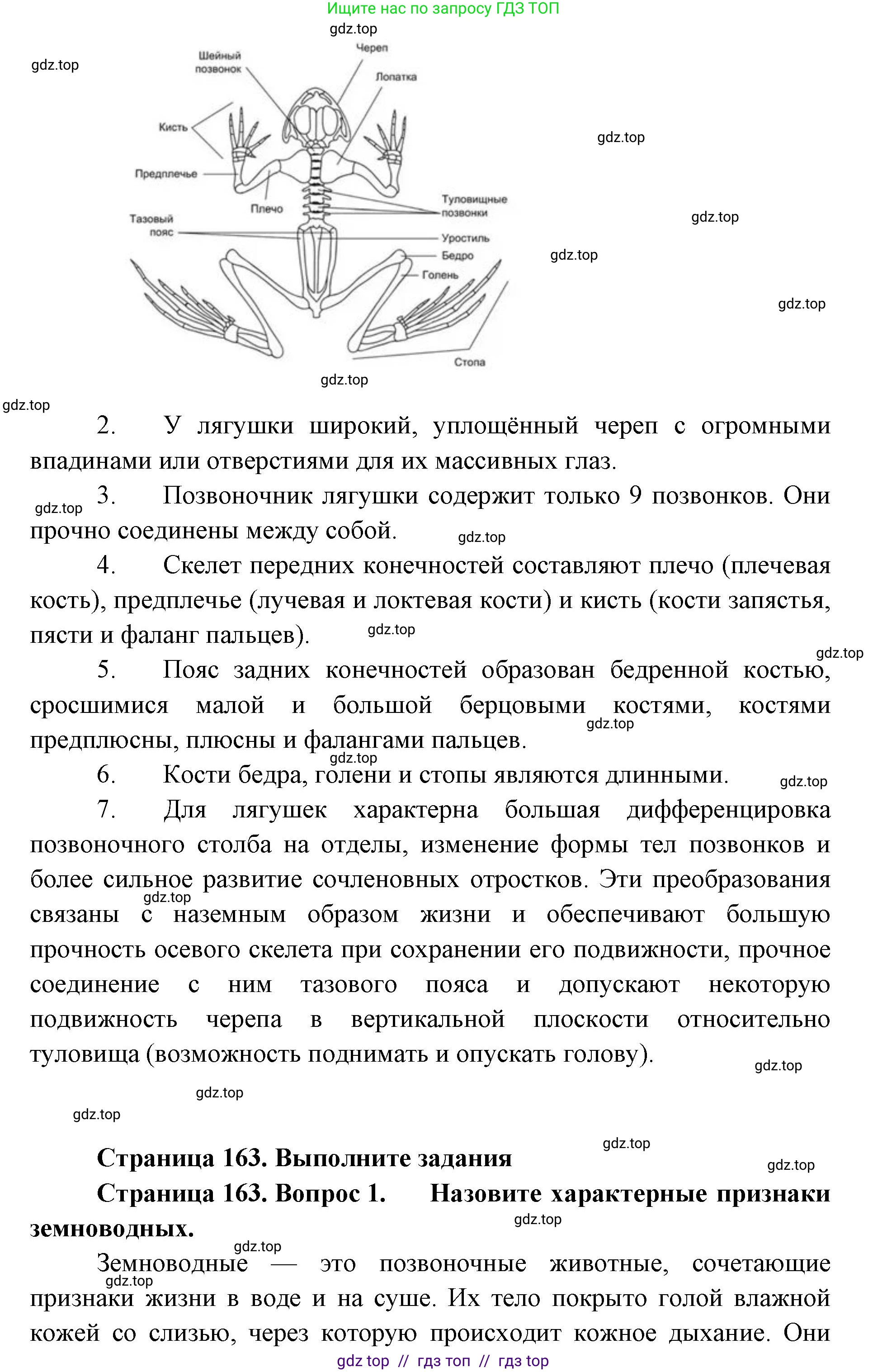 Биология, 8 класс Учебник, авторы: Пасечник Владимир Васильевич, Суматохин Сергей Витальевич, Гапонюк Зоя Георгиевна, издательство Просвещение, Москва, 2023, белого цвета, страница 162, Решение 2 (продолжение 3)