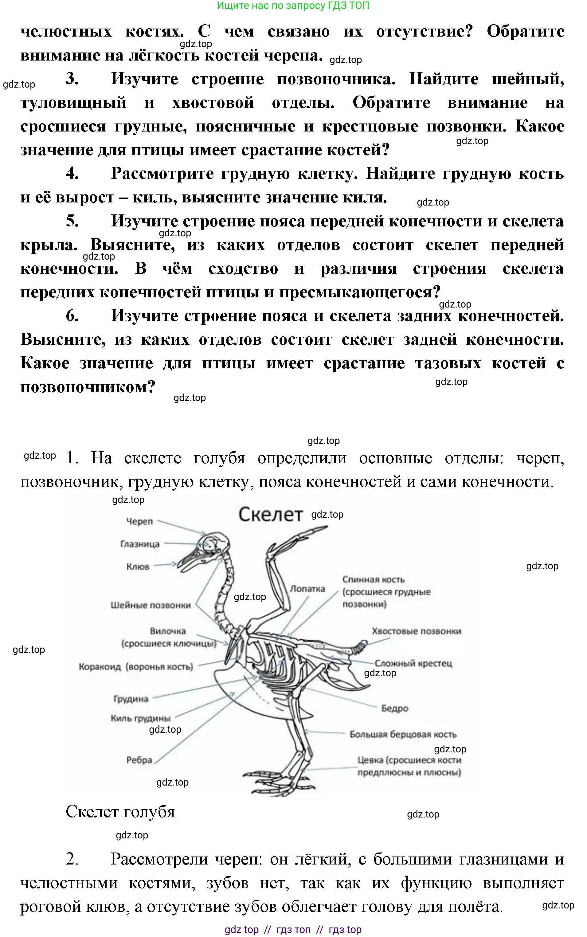 Биология, 8 класс Учебник, авторы: Пасечник Владимир Васильевич, Суматохин Сергей Витальевич, Гапонюк Зоя Георгиевна, издательство Просвещение, Москва, 2023, белого цвета, страница 185, Решение 2 (продолжение 2)