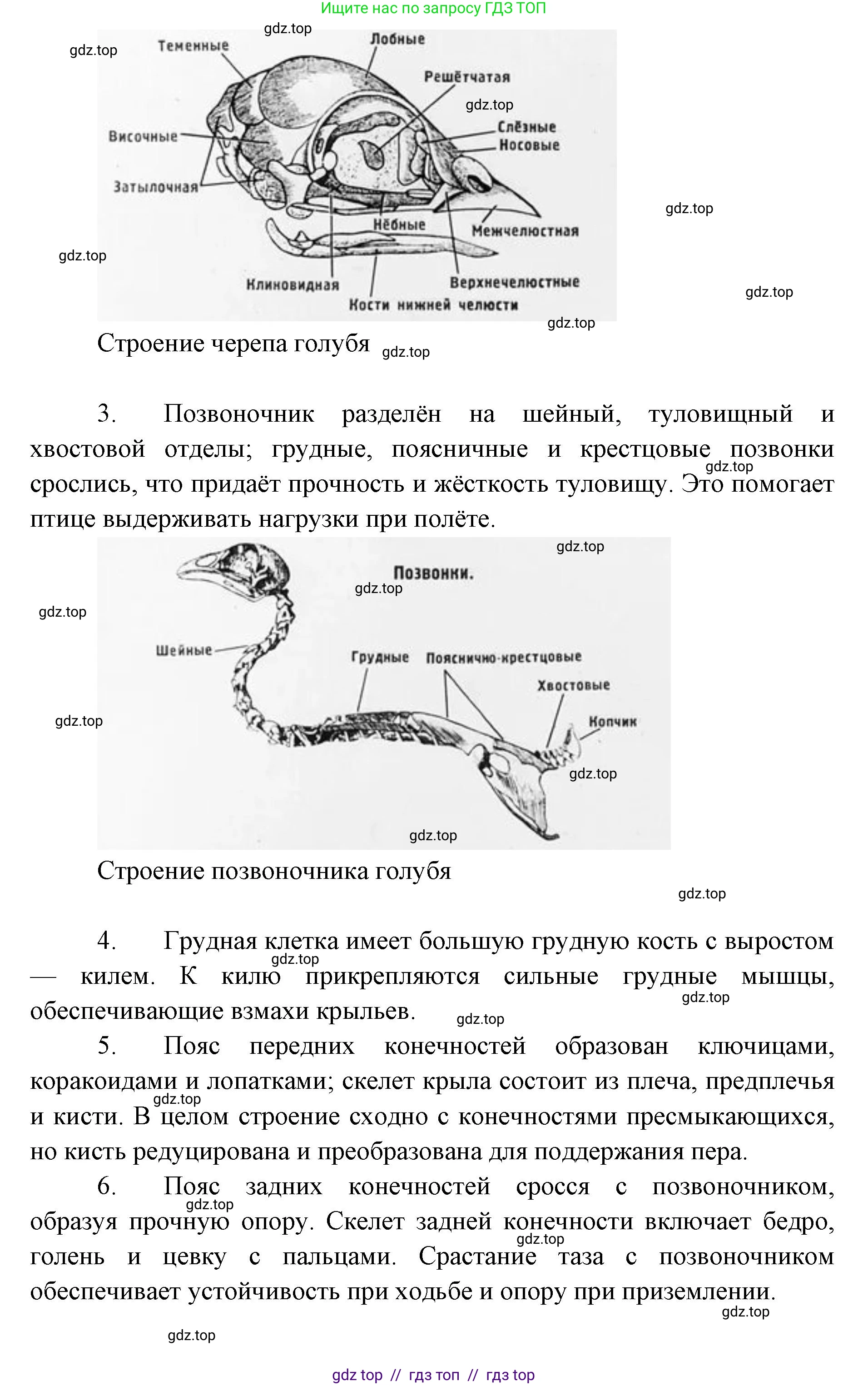 Биология, 8 класс Учебник, авторы: Пасечник Владимир Васильевич, Суматохин Сергей Витальевич, Гапонюк Зоя Георгиевна, издательство Просвещение, Москва, 2023, белого цвета, страница 185, Решение 2 (продолжение 3)