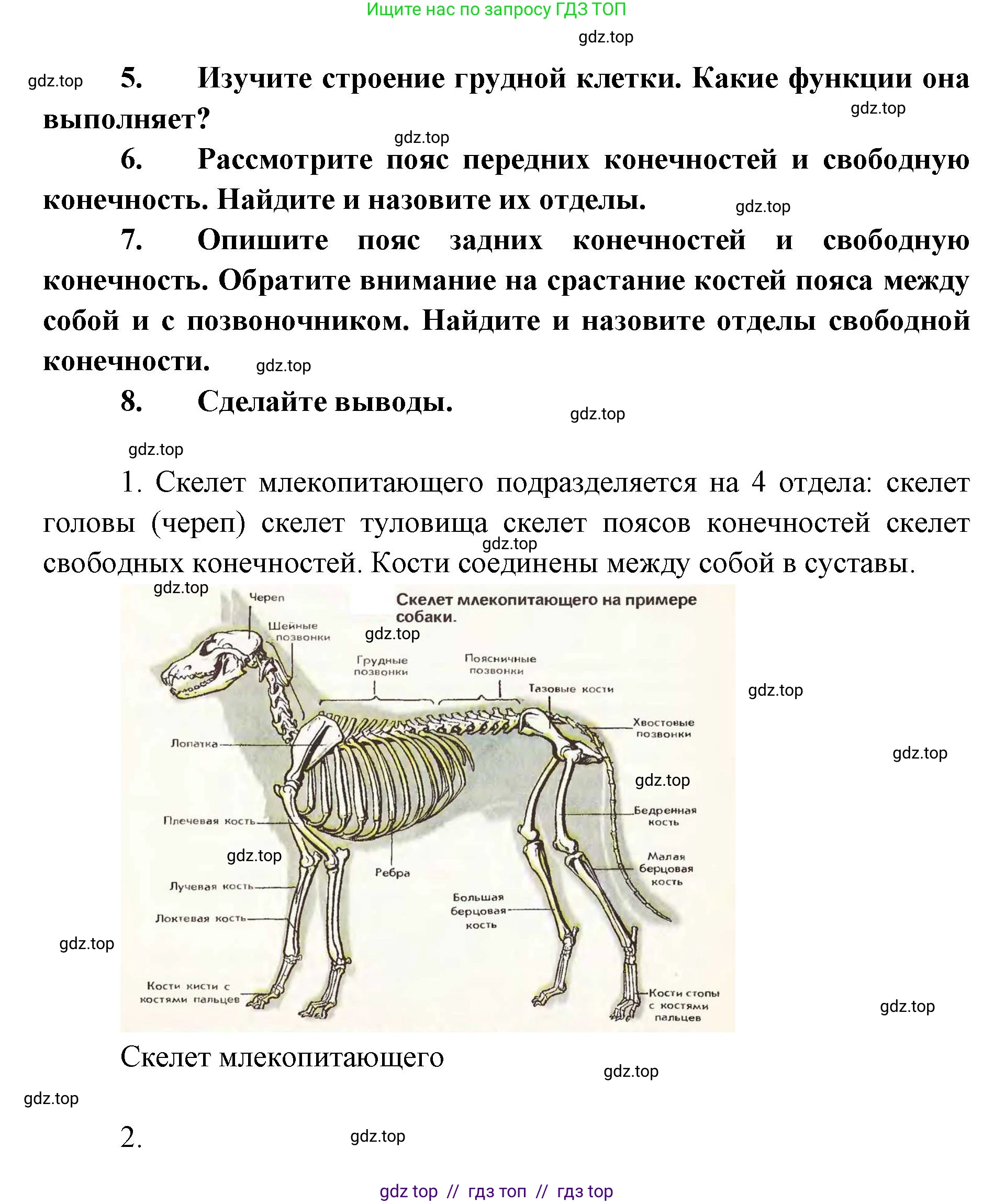 Биология, 8 класс Учебник, авторы: Пасечник Владимир Васильевич, Суматохин Сергей Витальевич, Гапонюк Зоя Георгиевна, издательство Просвещение, Москва, 2023, белого цвета, страница 201, Решение 2 (продолжение 2)