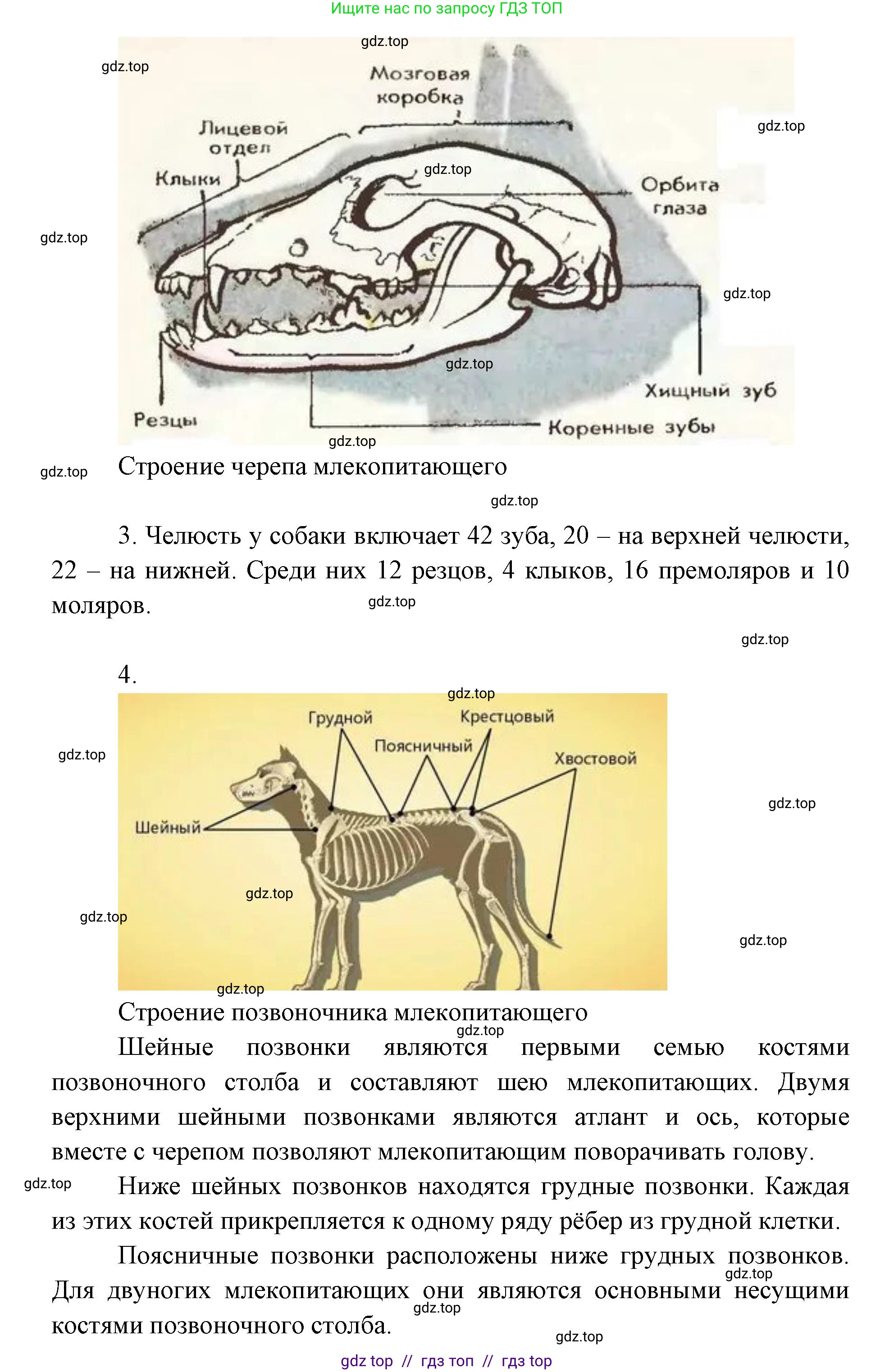 Биология, 8 класс Учебник, авторы: Пасечник Владимир Васильевич, Суматохин Сергей Витальевич, Гапонюк Зоя Георгиевна, издательство Просвещение, Москва, 2023, белого цвета, страница 201, Решение 2 (продолжение 3)