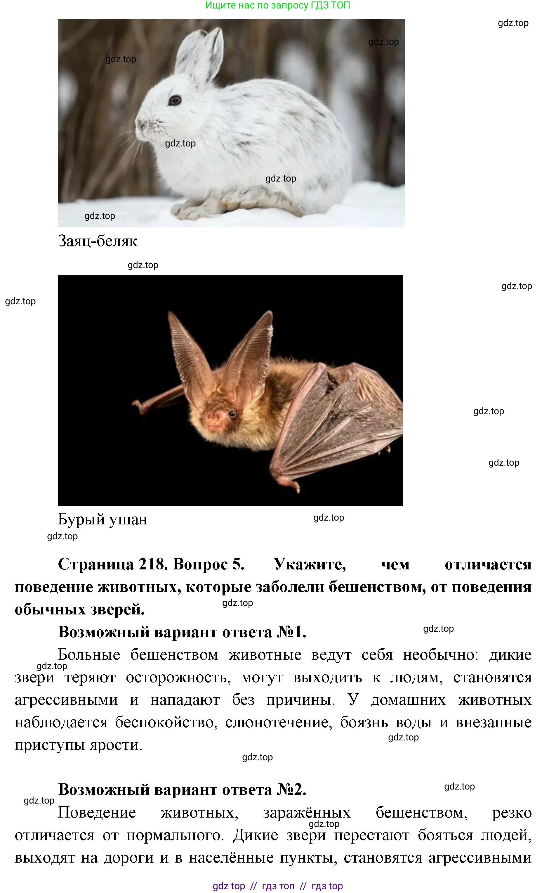 Биология, 8 класс Учебник, авторы: Пасечник Владимир Васильевич, Суматохин Сергей Витальевич, Гапонюк Зоя Георгиевна, издательство Просвещение, Москва, 2023, белого цвета, страница 218, Решение 2 (продолжение 5)