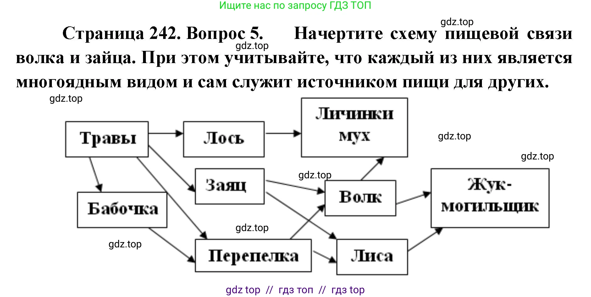 Биология, 8 класс Учебник, авторы: Пасечник Владимир Васильевич, Суматохин Сергей Витальевич, Гапонюк Зоя Георгиевна, издательство Просвещение, Москва, 2023, белого цвета, страница 242, номер 5, Решение 2