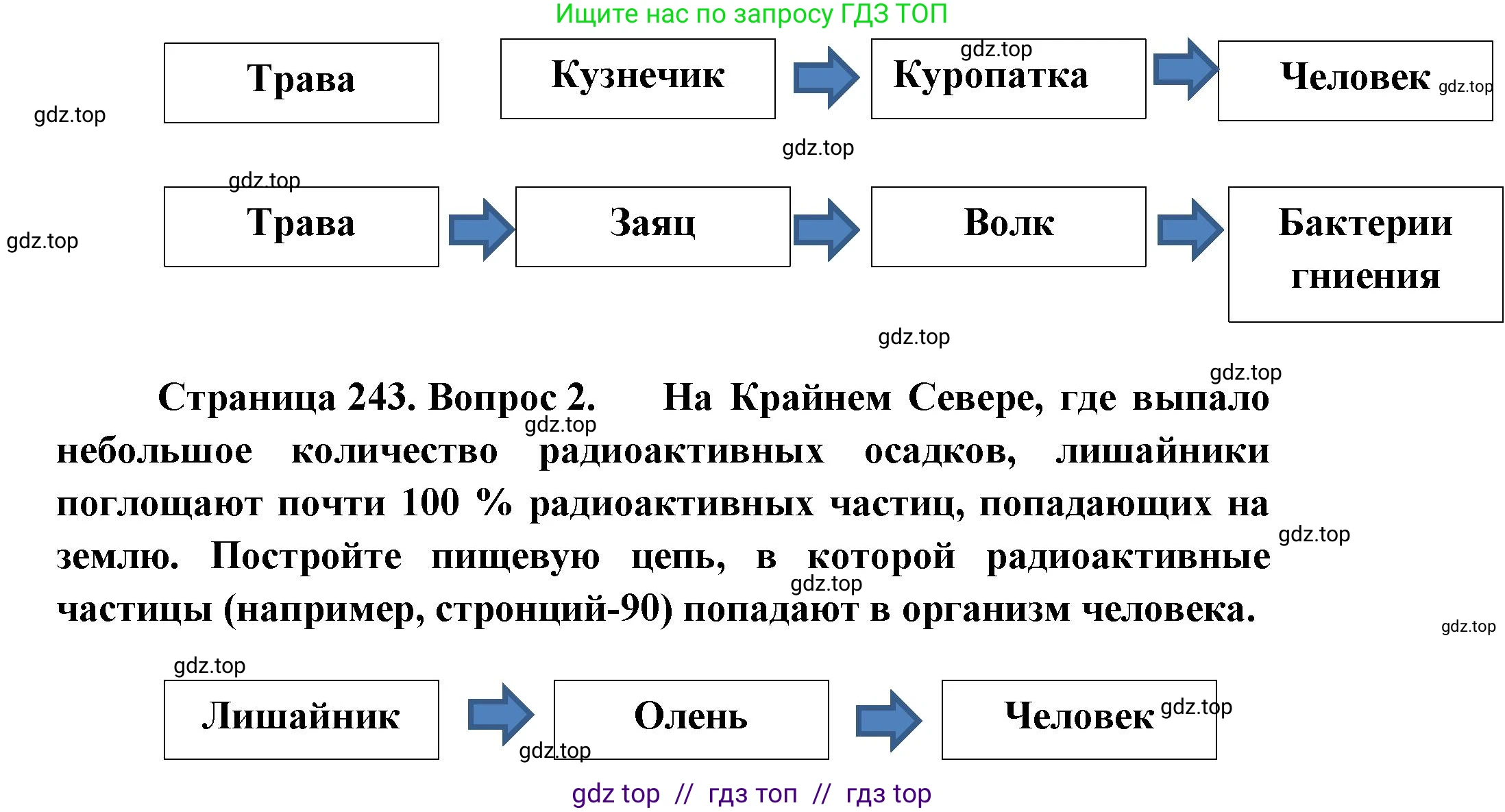 Биология, 8 класс Учебник, авторы: Пасечник Владимир Васильевич, Суматохин Сергей Витальевич, Гапонюк Зоя Георгиевна, издательство Просвещение, Москва, 2023, белого цвета, страница 243, Решение 2 (продолжение 4)