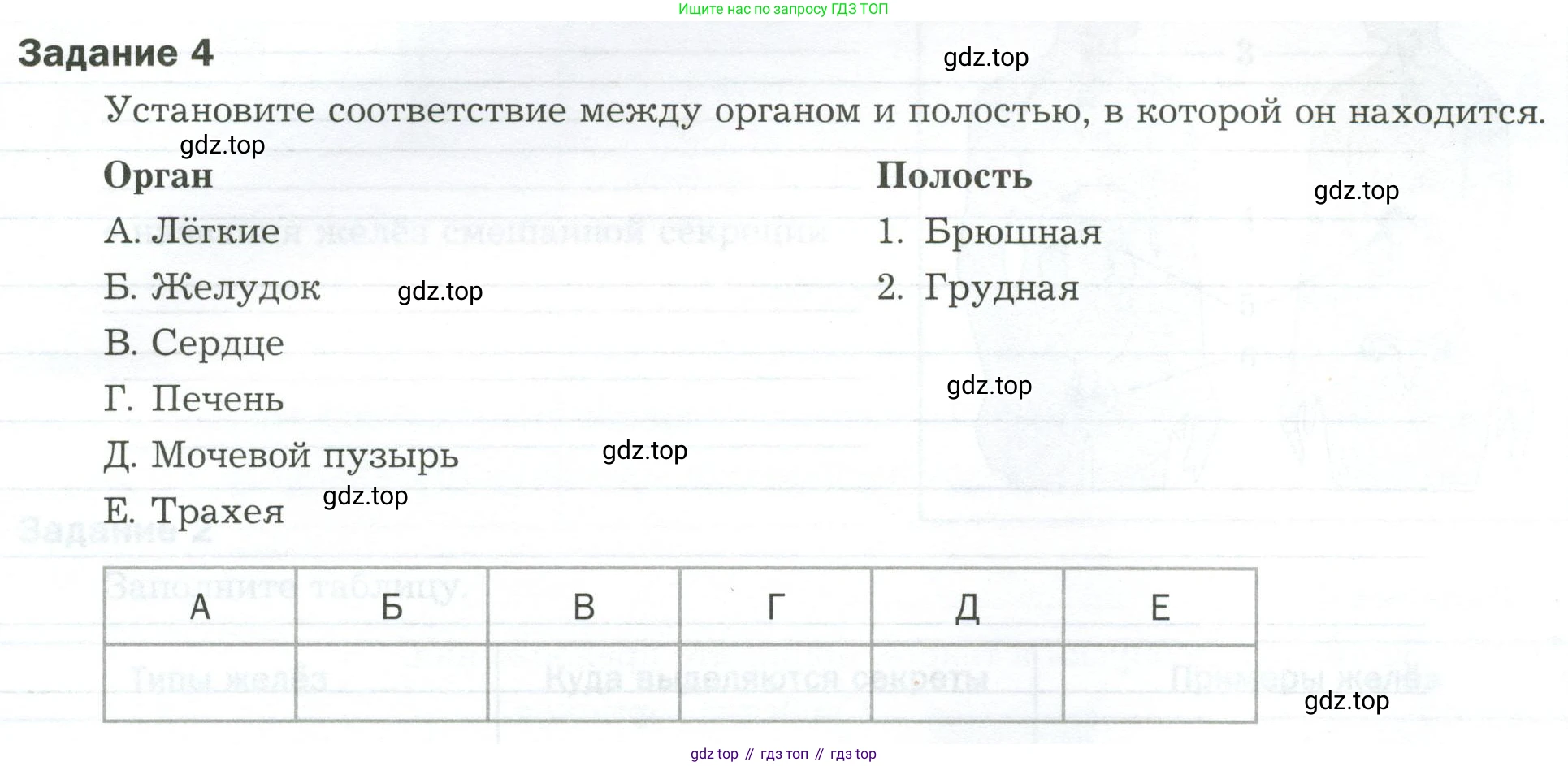 Биология, 9 класс рабочая тетрадь, авторы: Драгомилов Александр Григорьевич, Маш Реми Давидович, издательство Просвещение, Москва, 2021, красного цвета, Часть 1, страница 17, Условие