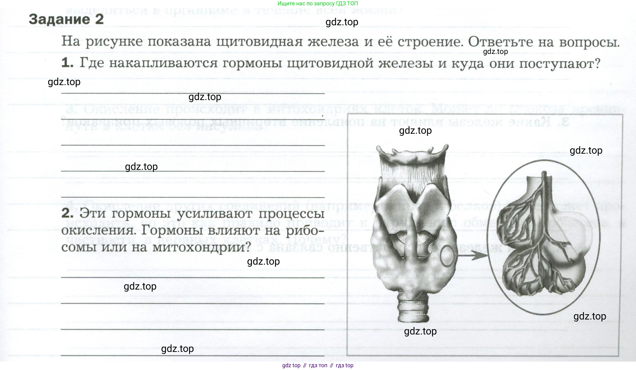 Биология, 9 класс рабочая тетрадь, авторы: Драгомилов Александр Григорьевич, Маш Реми Давидович, издательство Просвещение, Москва, 2021, красного цвета, Часть 1, страница 21, Условие
