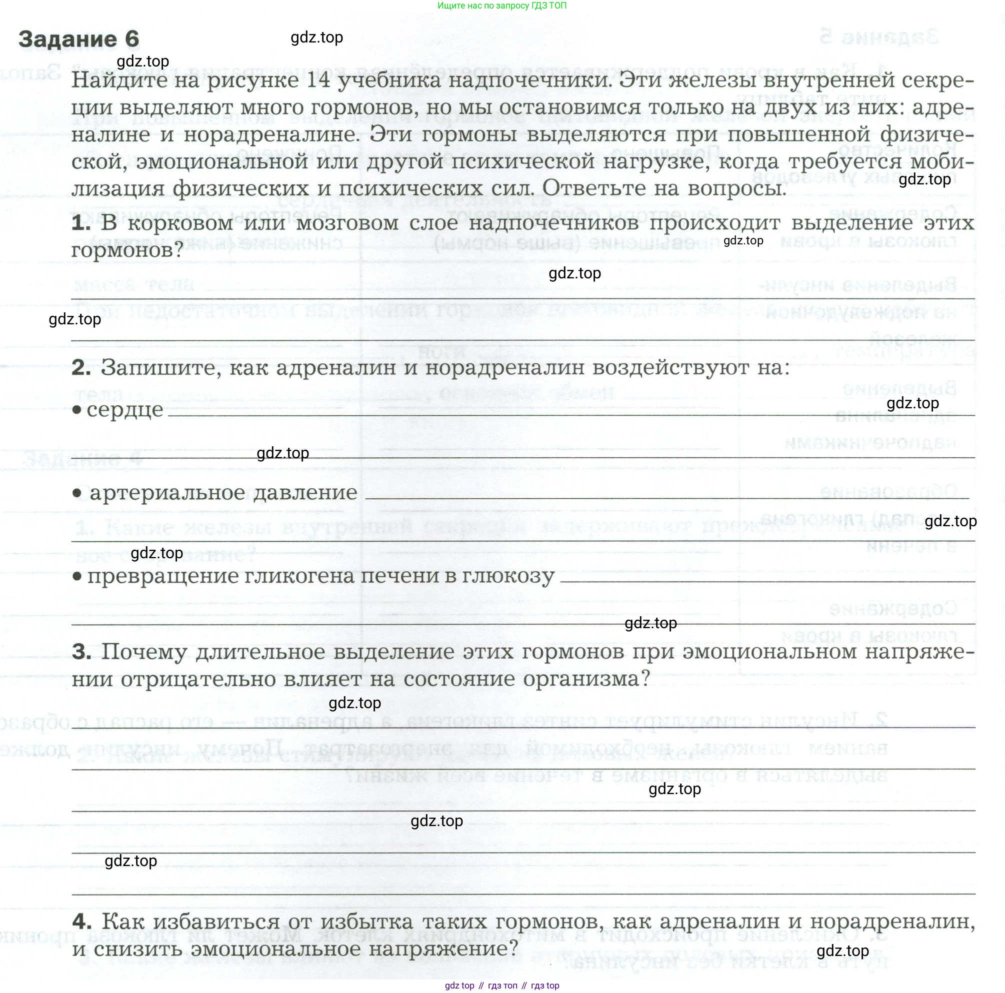Биология, 9 класс рабочая тетрадь, авторы: Драгомилов Александр Григорьевич, Маш Реми Давидович, издательство Просвещение, Москва, 2021, красного цвета, Часть 1, страница 24, Условие