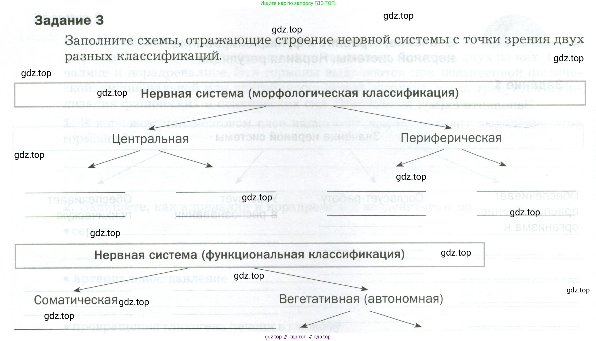 Биология, 9 класс рабочая тетрадь, авторы: Драгомилов Александр Григорьевич, Маш Реми Давидович, издательство Просвещение, Москва, 2021, красного цвета, Часть 1, страница 26, Условие
