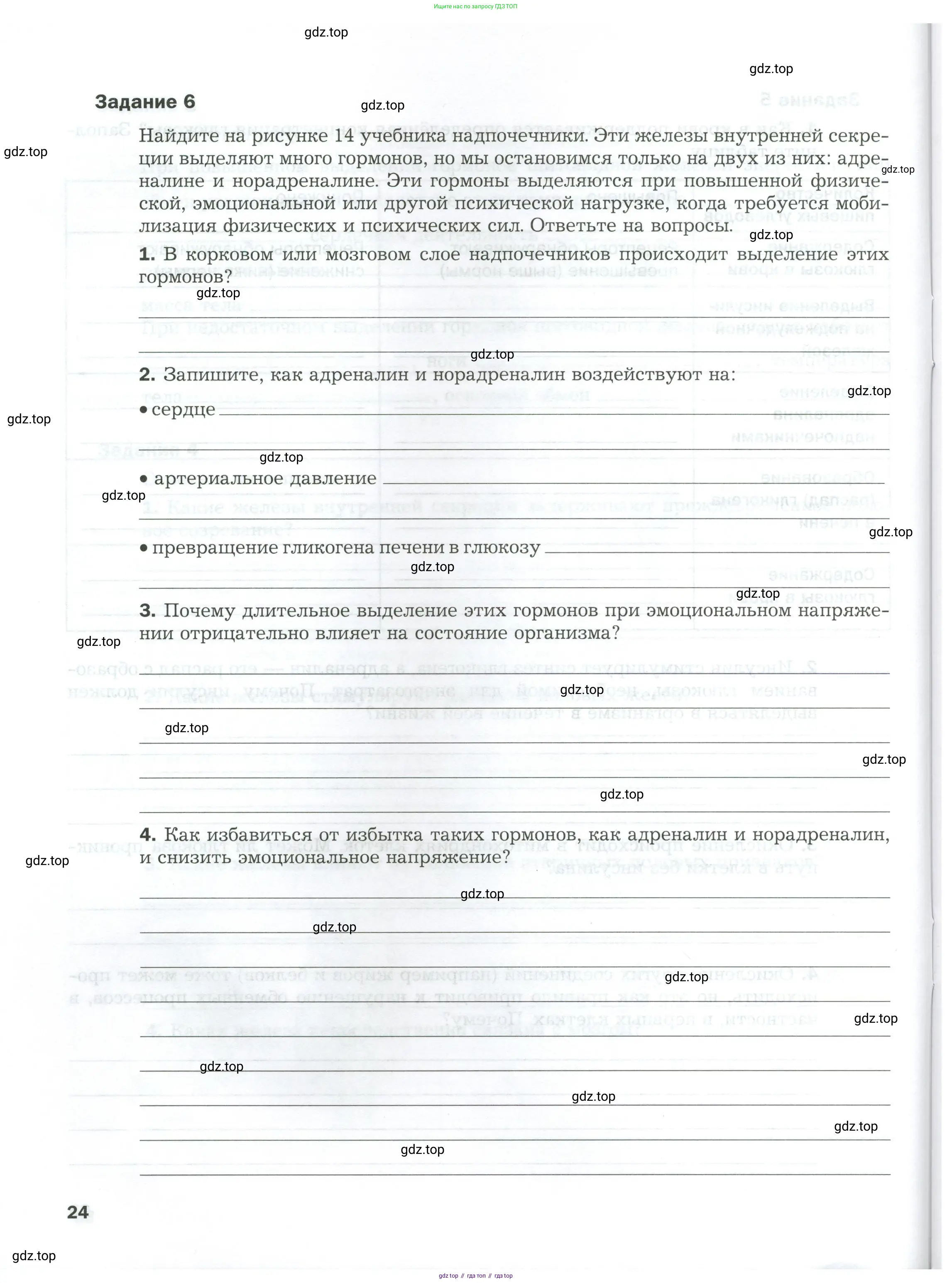 Биология, 9 класс рабочая тетрадь, авторы: Драгомилов Александр Григорьевич, Маш Реми Давидович, издательство Просвещение, Москва, 2021, красного цвета, Часть 1, страница 24