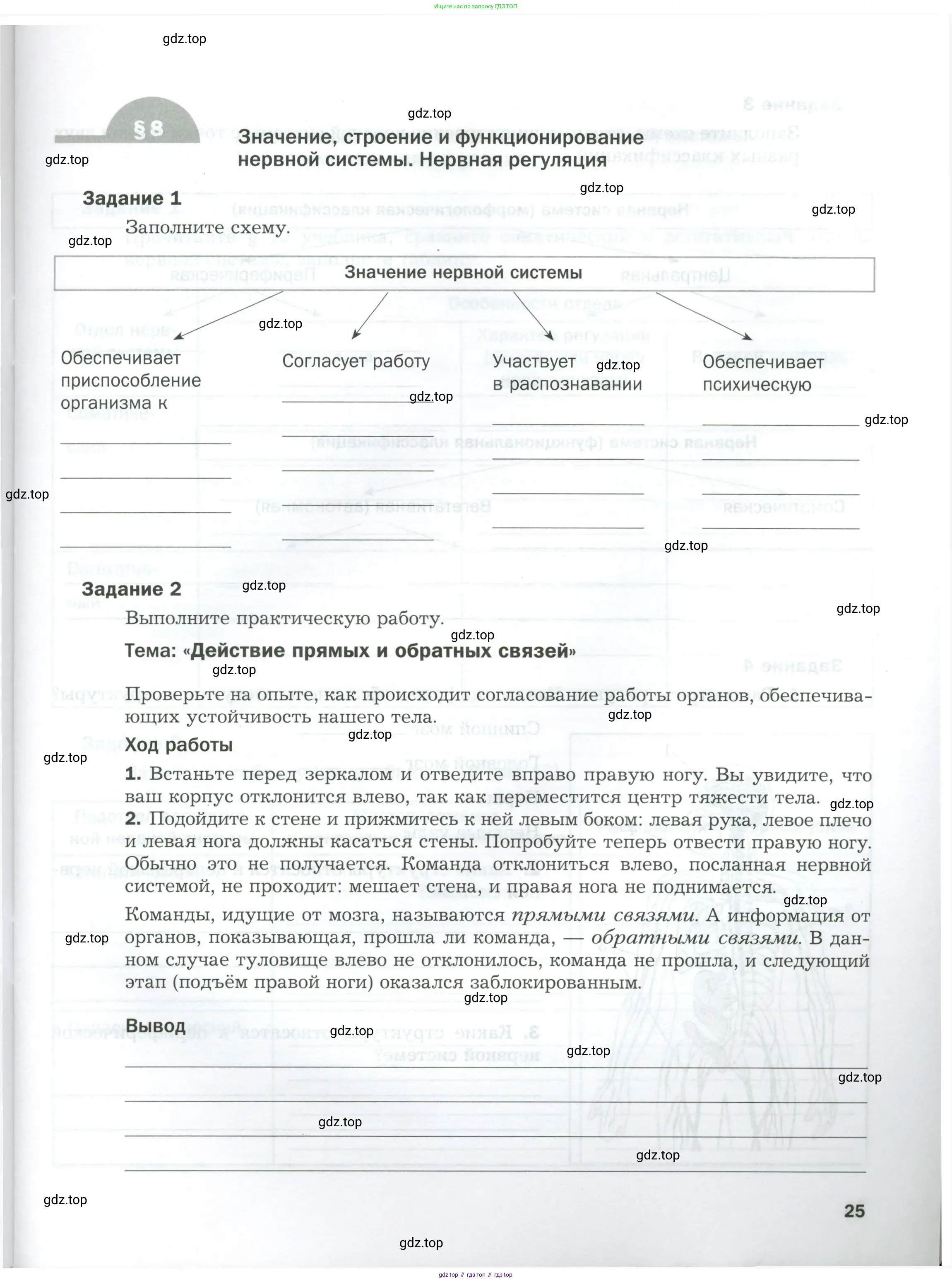 Биология, 9 класс рабочая тетрадь, авторы: Драгомилов Александр Григорьевич, Маш Реми Давидович, издательство Просвещение, Москва, 2021, красного цвета, Часть 1, страница 25