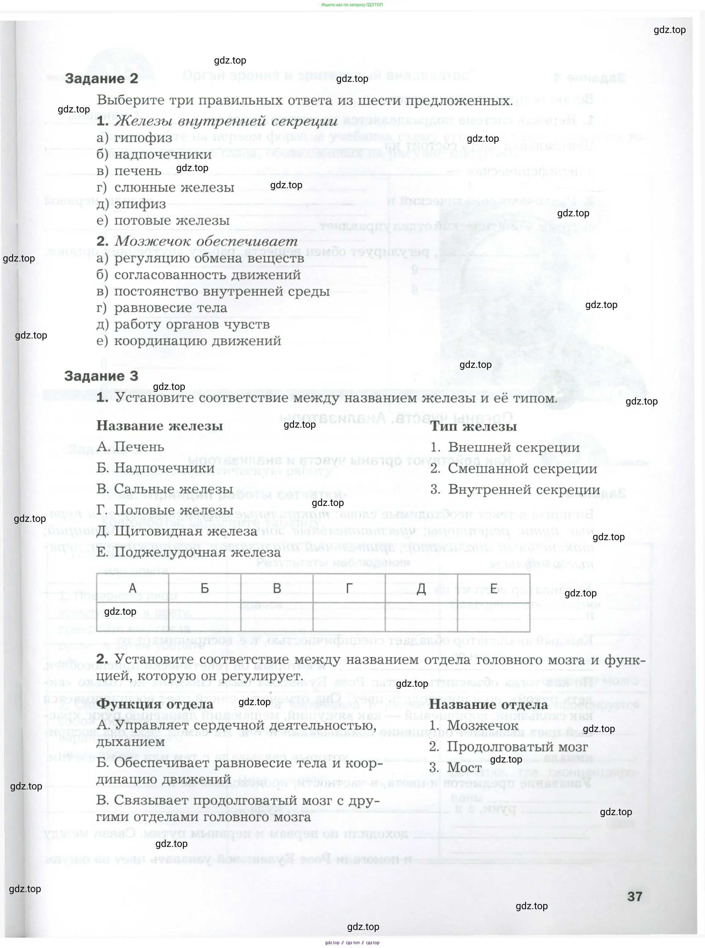 Биология, 9 класс рабочая тетрадь, авторы: Драгомилов Александр Григорьевич, Маш Реми Давидович, издательство Просвещение, Москва, 2021, красного цвета, Часть 1, страница 37