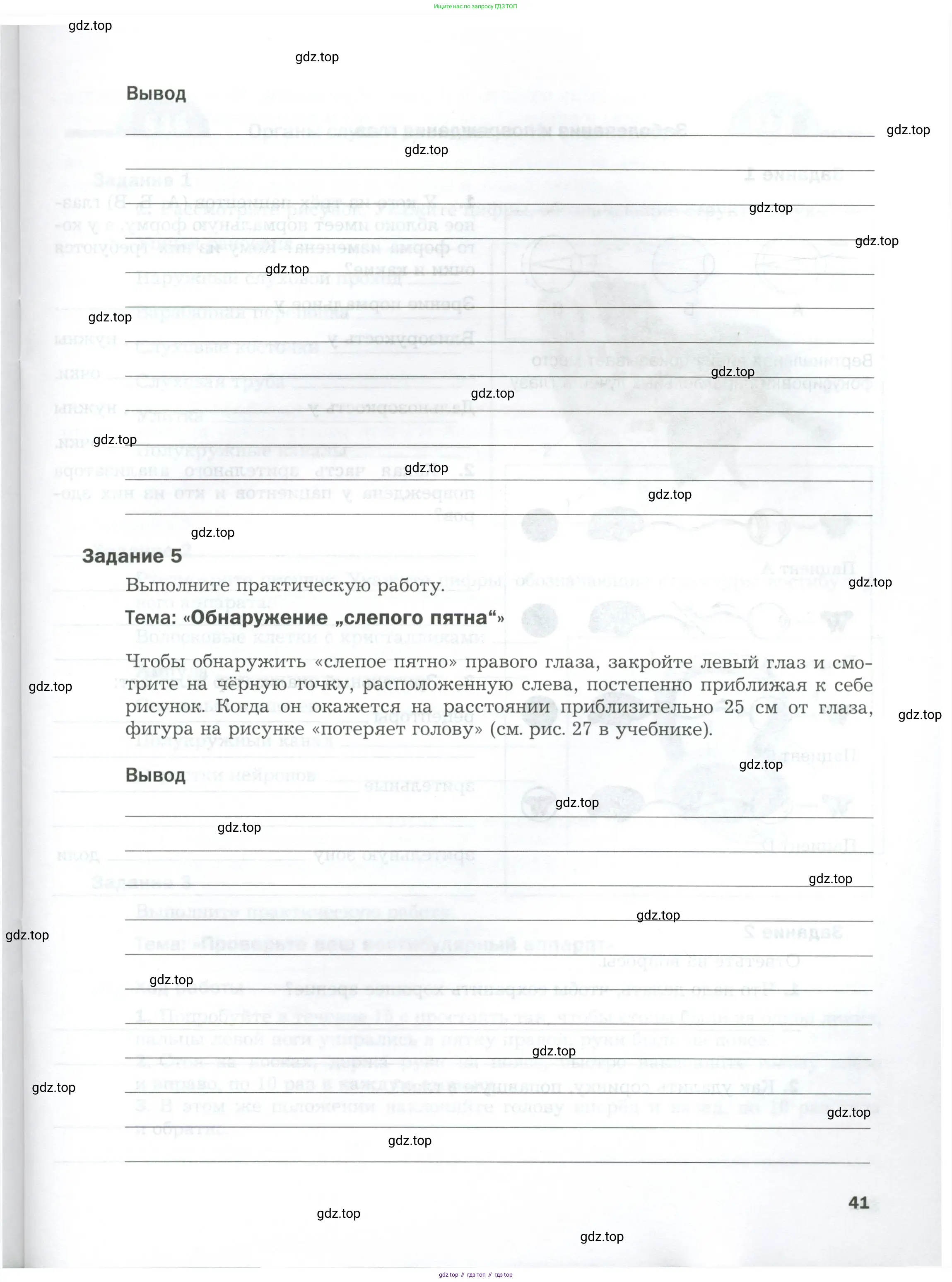 Биология, 9 класс рабочая тетрадь, авторы: Драгомилов Александр Григорьевич, Маш Реми Давидович, издательство Просвещение, Москва, 2021, красного цвета, Часть 1, страница 41
