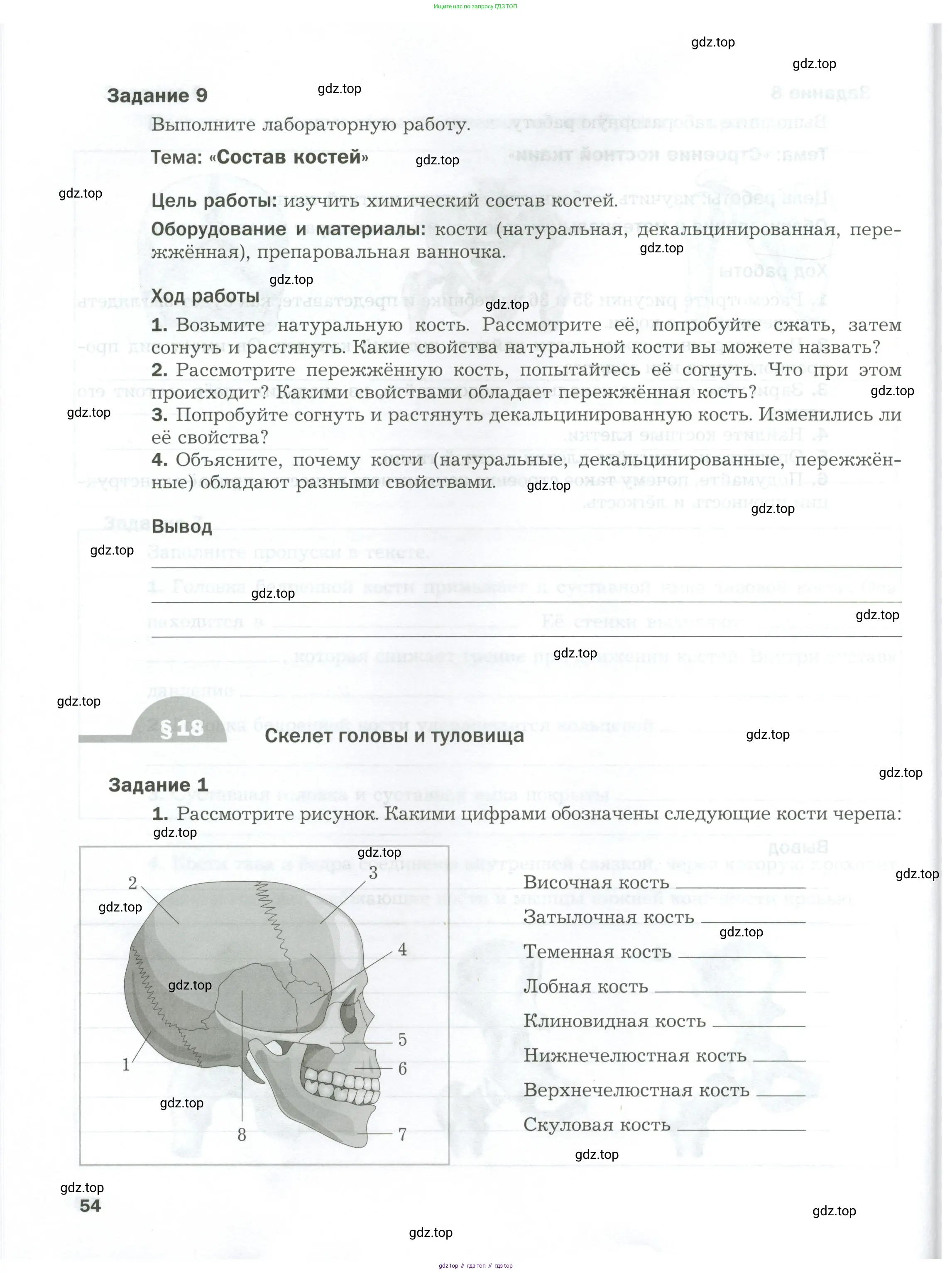 Биология, 9 класс рабочая тетрадь, авторы: Драгомилов Александр Григорьевич, Маш Реми Давидович, издательство Просвещение, Москва, 2021, красного цвета, Часть 1, страница 54