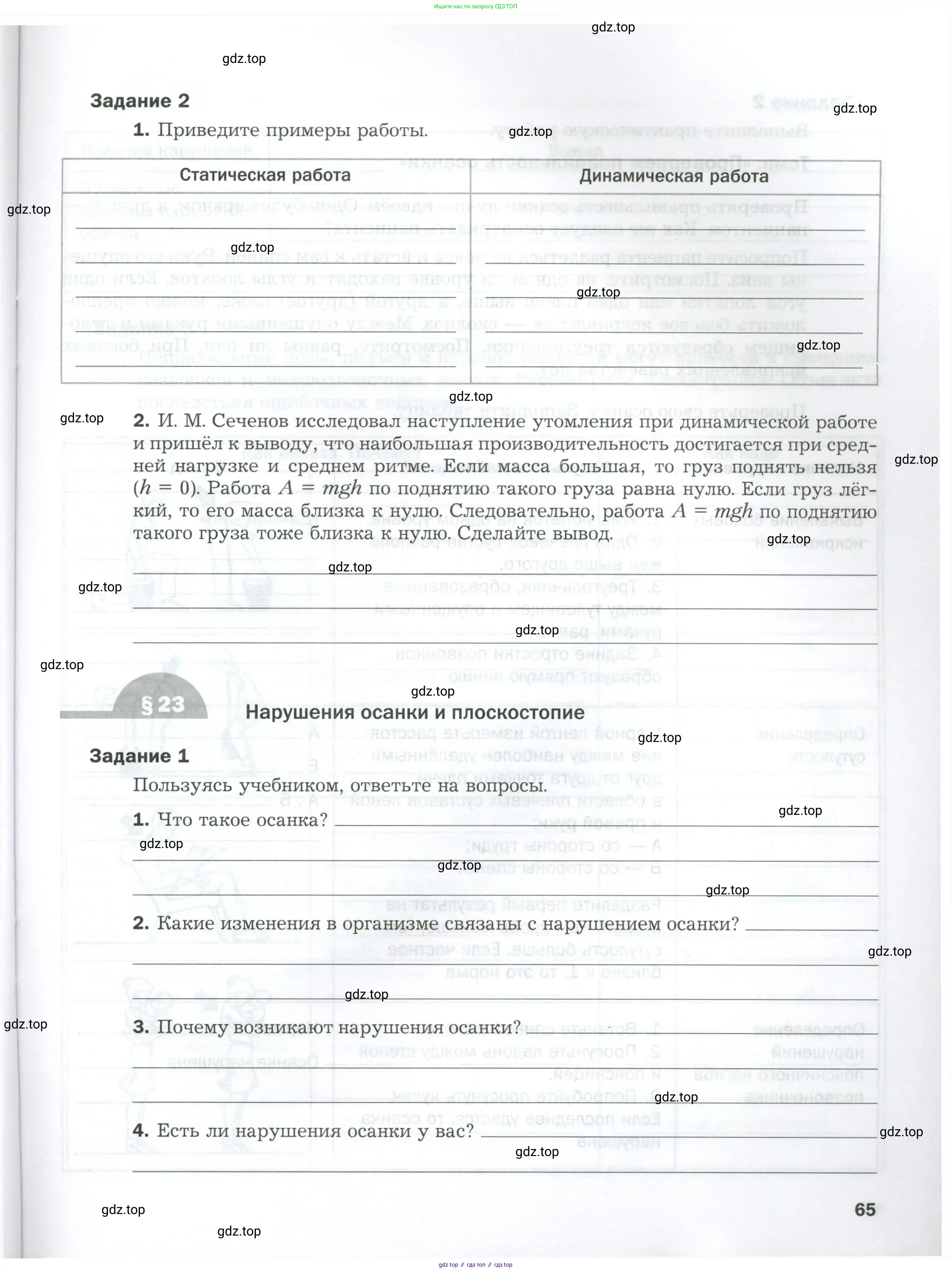 Биология, 9 класс рабочая тетрадь, авторы: Драгомилов Александр Григорьевич, Маш Реми Давидович, издательство Просвещение, Москва, 2021, красного цвета, Часть 1, страница 65