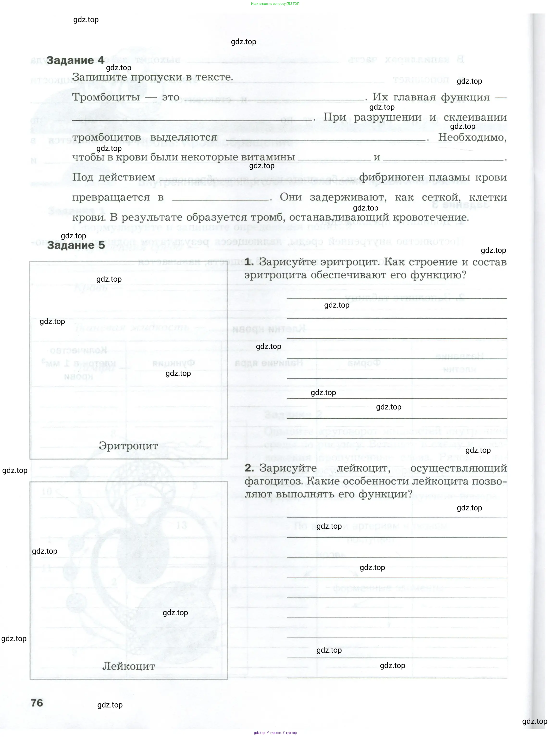 Биология, 9 класс рабочая тетрадь, авторы: Драгомилов Александр Григорьевич, Маш Реми Давидович, издательство Просвещение, Москва, 2021, красного цвета, Часть 1, страница 76