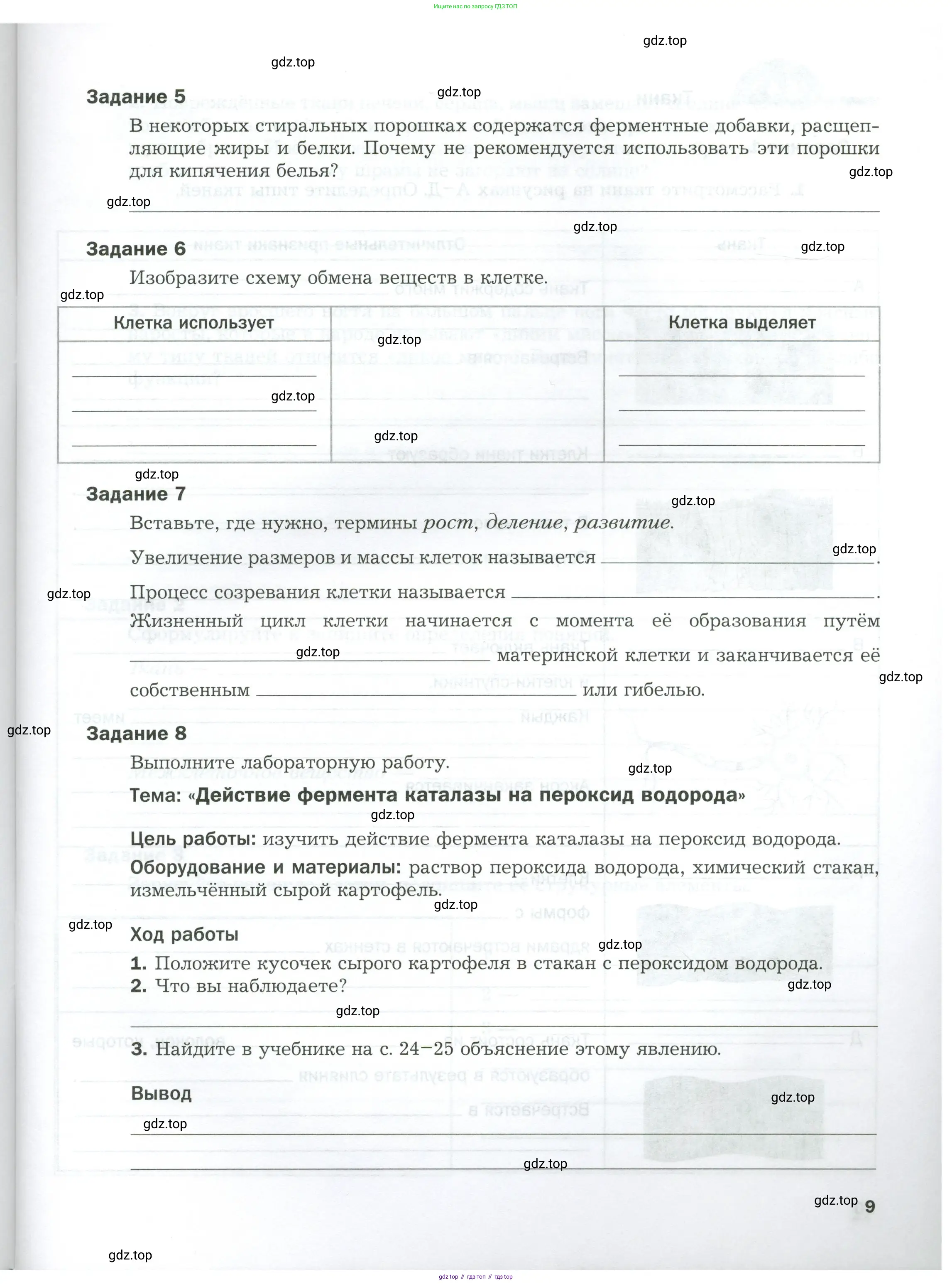 Биология, 9 класс рабочая тетрадь, авторы: Драгомилов Александр Григорьевич, Маш Реми Давидович, издательство Просвещение, Москва, 2021, красного цвета, Часть 1, страница 9